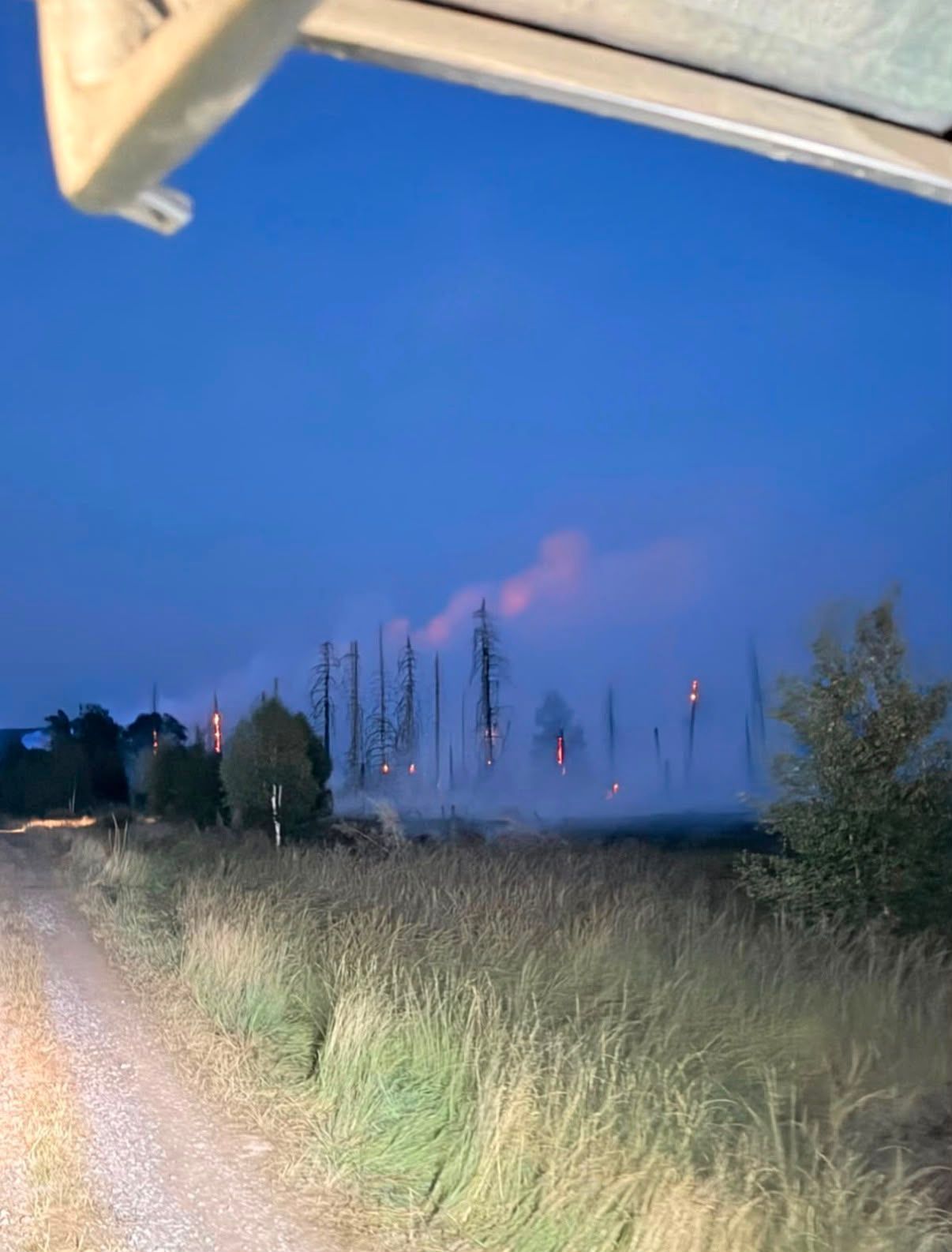 Wie Fackeln standen die Bäume in Brand, an denen Moll und seine Kollegen vorbeifuhren.