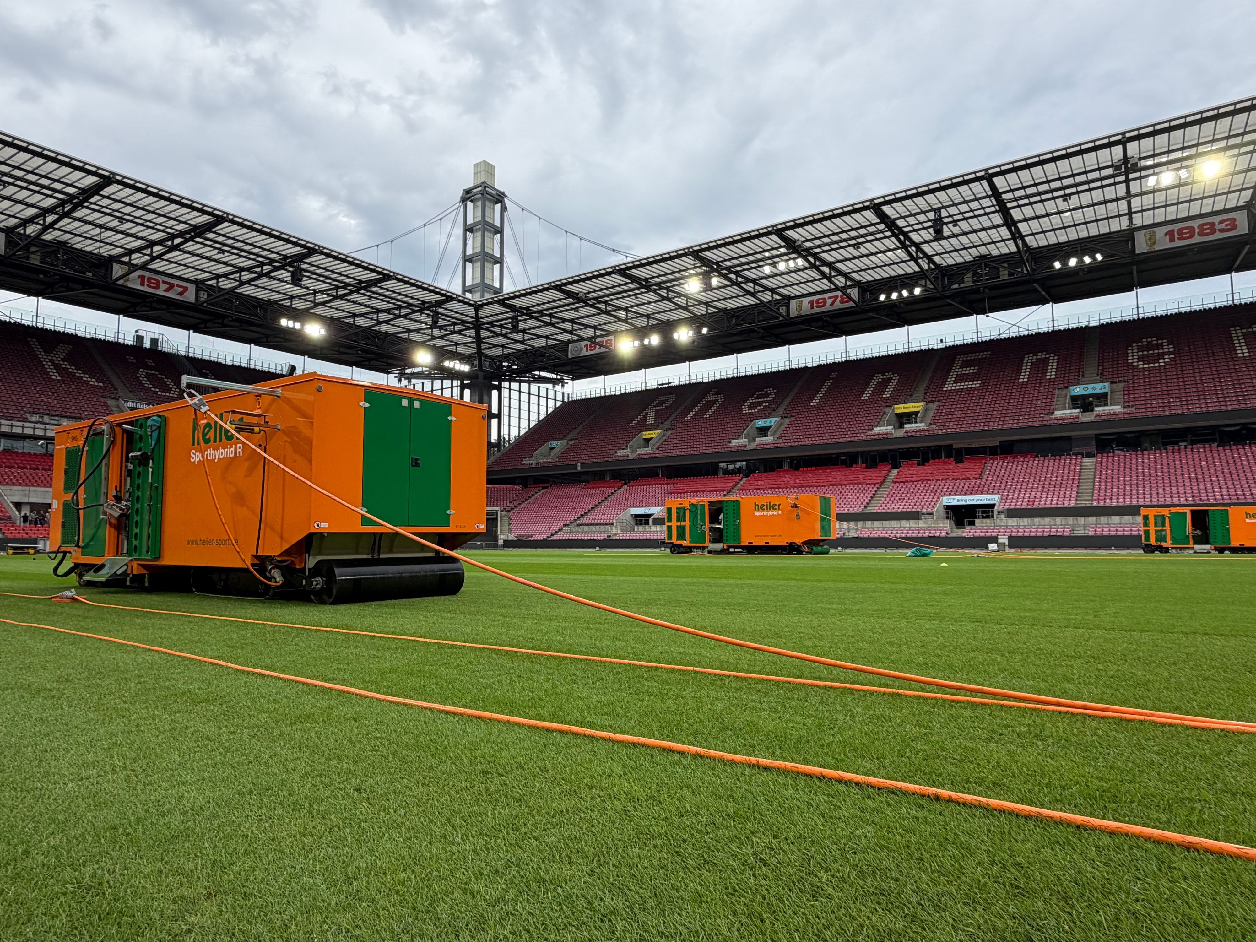 Im Kölner Rhein-Energie-Stadion wird ein neuer Hybridrasen verlegt.
