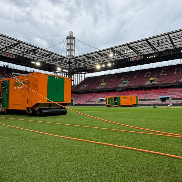 Im Kölner Rhein-Energie-Stadion wird ein neuer Hybridrasen verlegt.