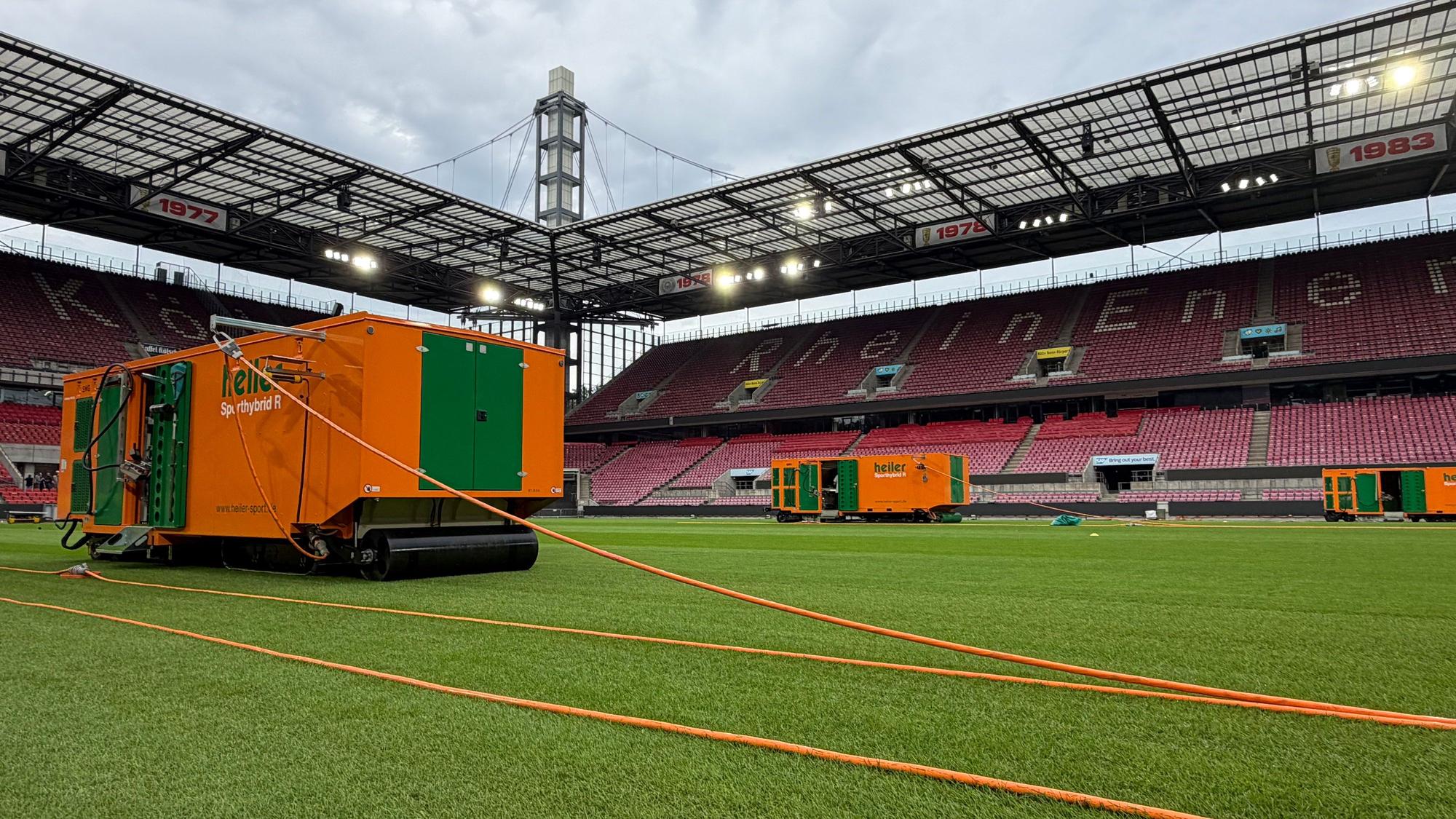 Frisch verlegt: der neue Hybridrasen im Stadion