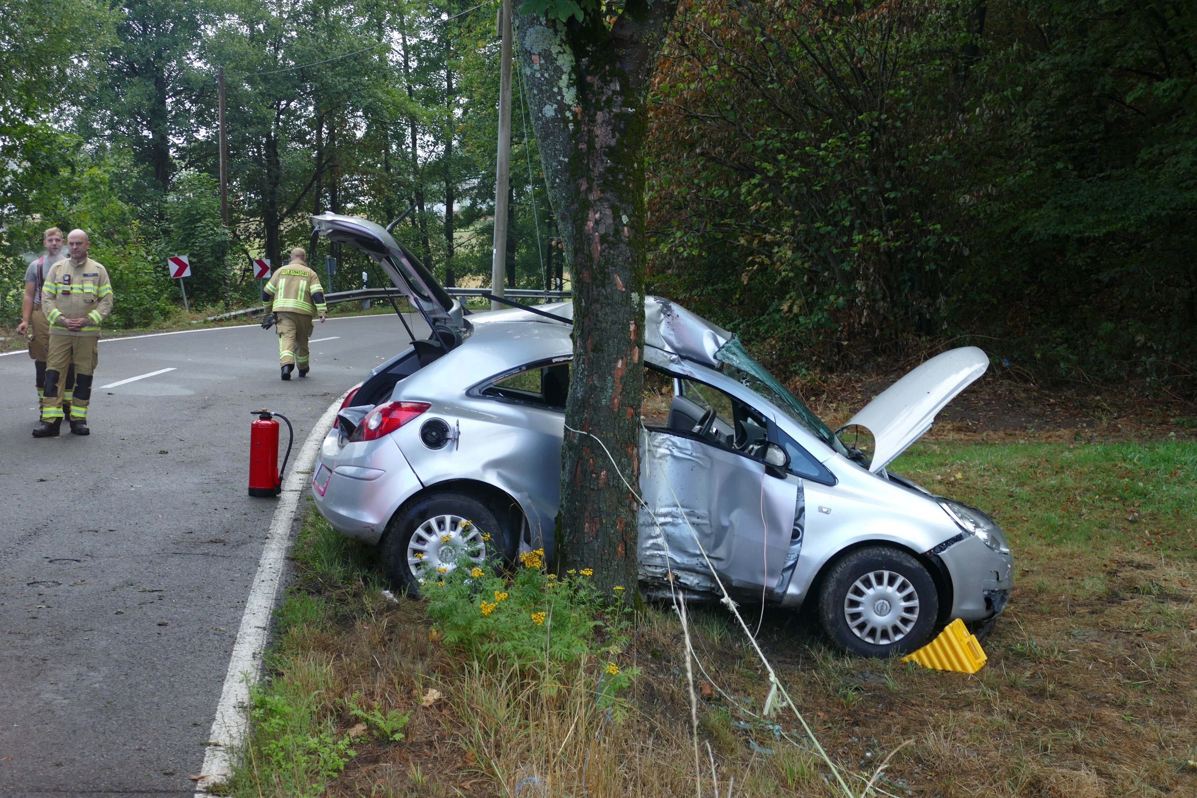 Der Wagen kam von der Straße ab und prallte gegen einen Baum.