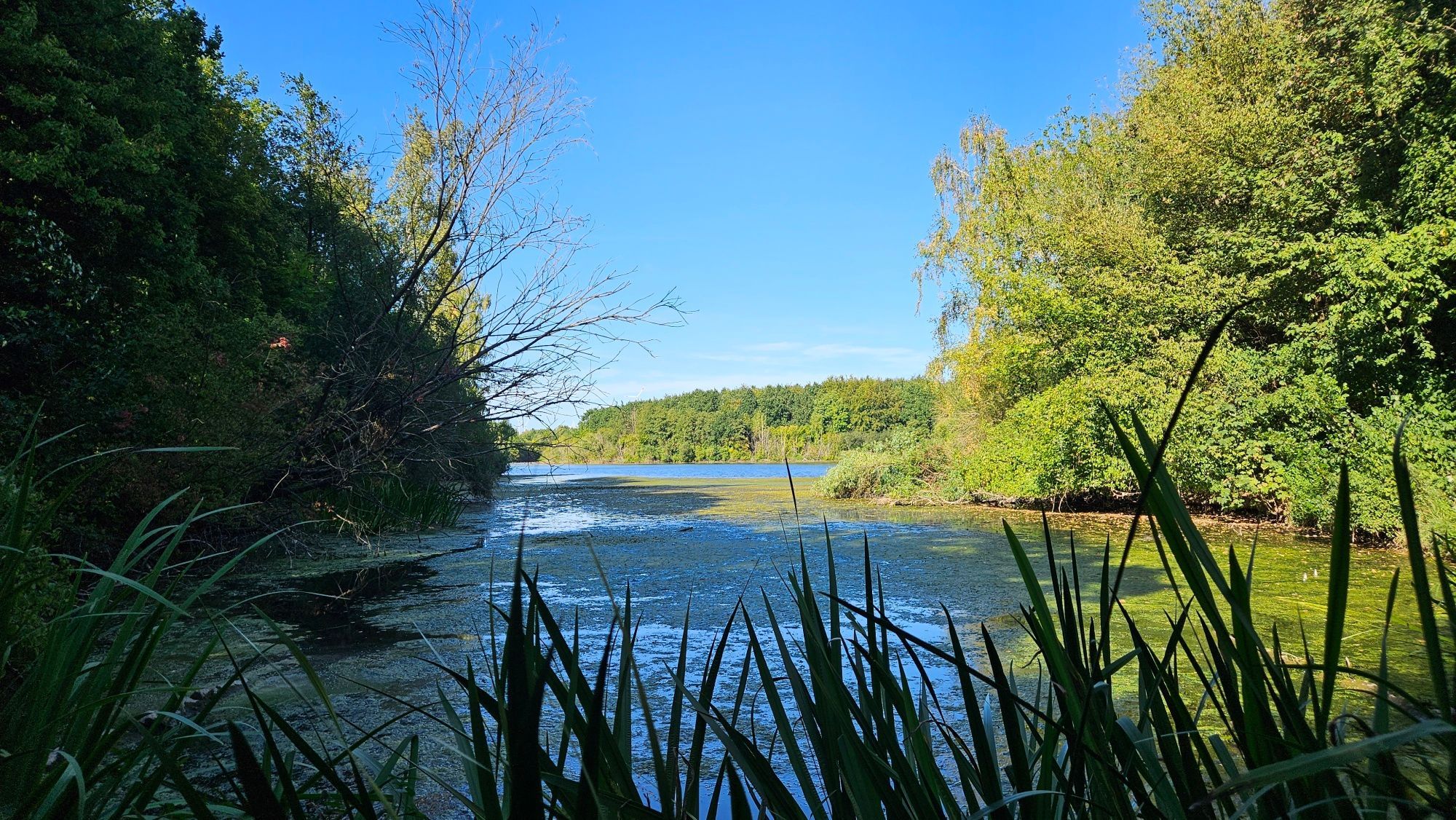 Rätselwanderung Bedburg Bild 6