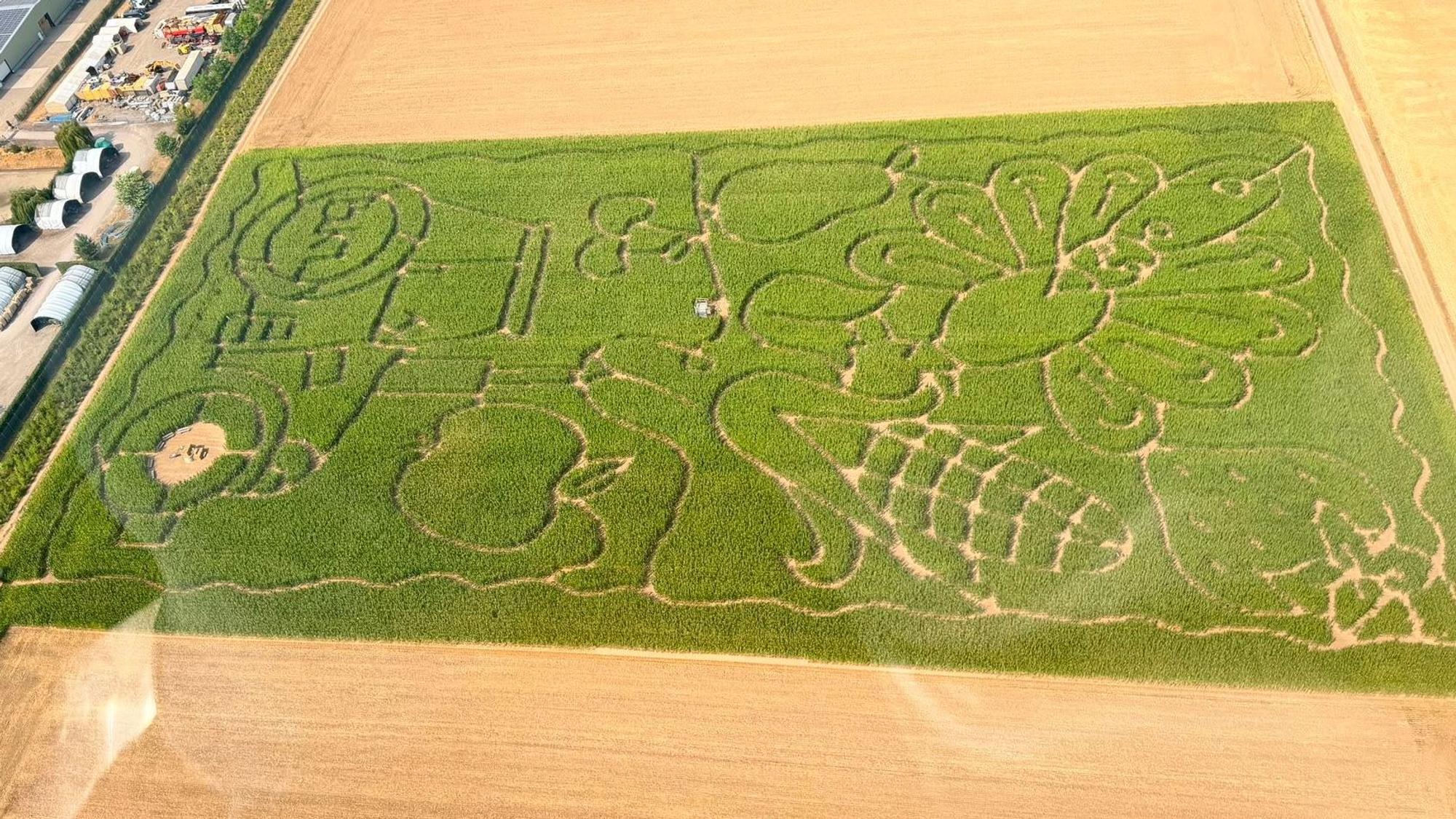 Das diesjährige Maislabyrinth auf Willis Erlebnishof