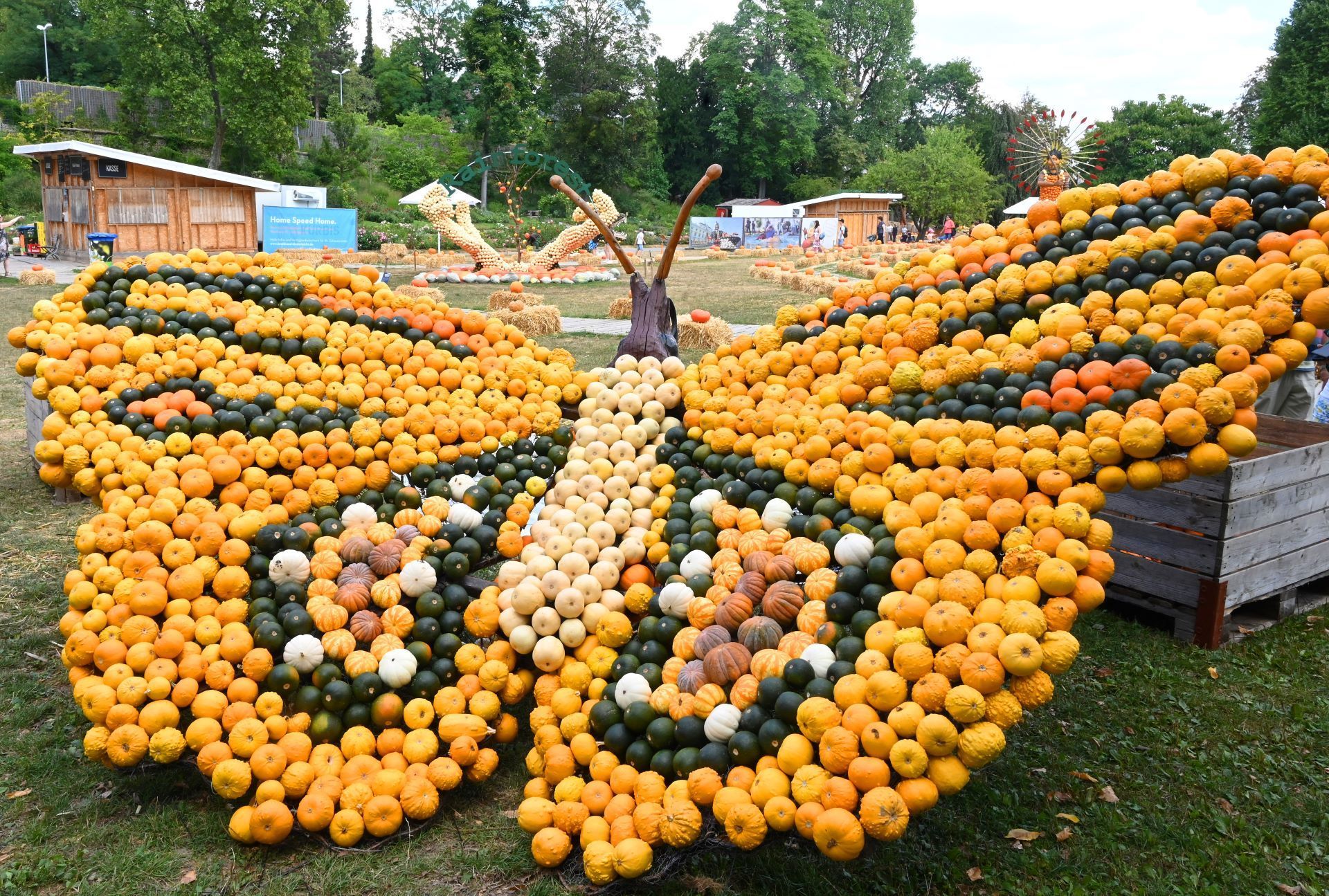 Kürbisschau Krewelshof Lohmar 2026
