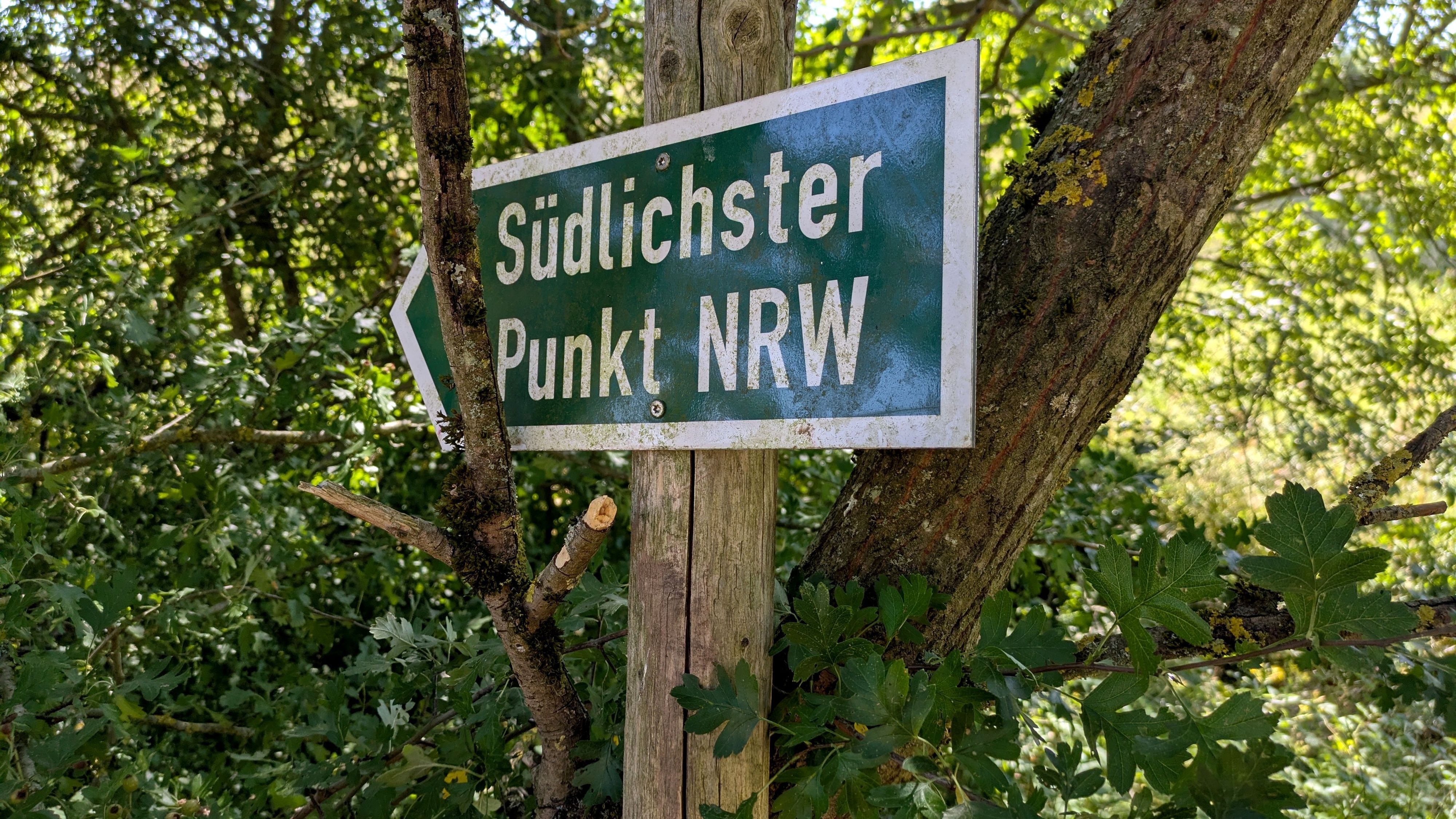 Ein grünes Hinweisschild mit weißer Schrift, das an einem Baum lehnt, weist den Weg zum südlichsten Punkt in NRW.