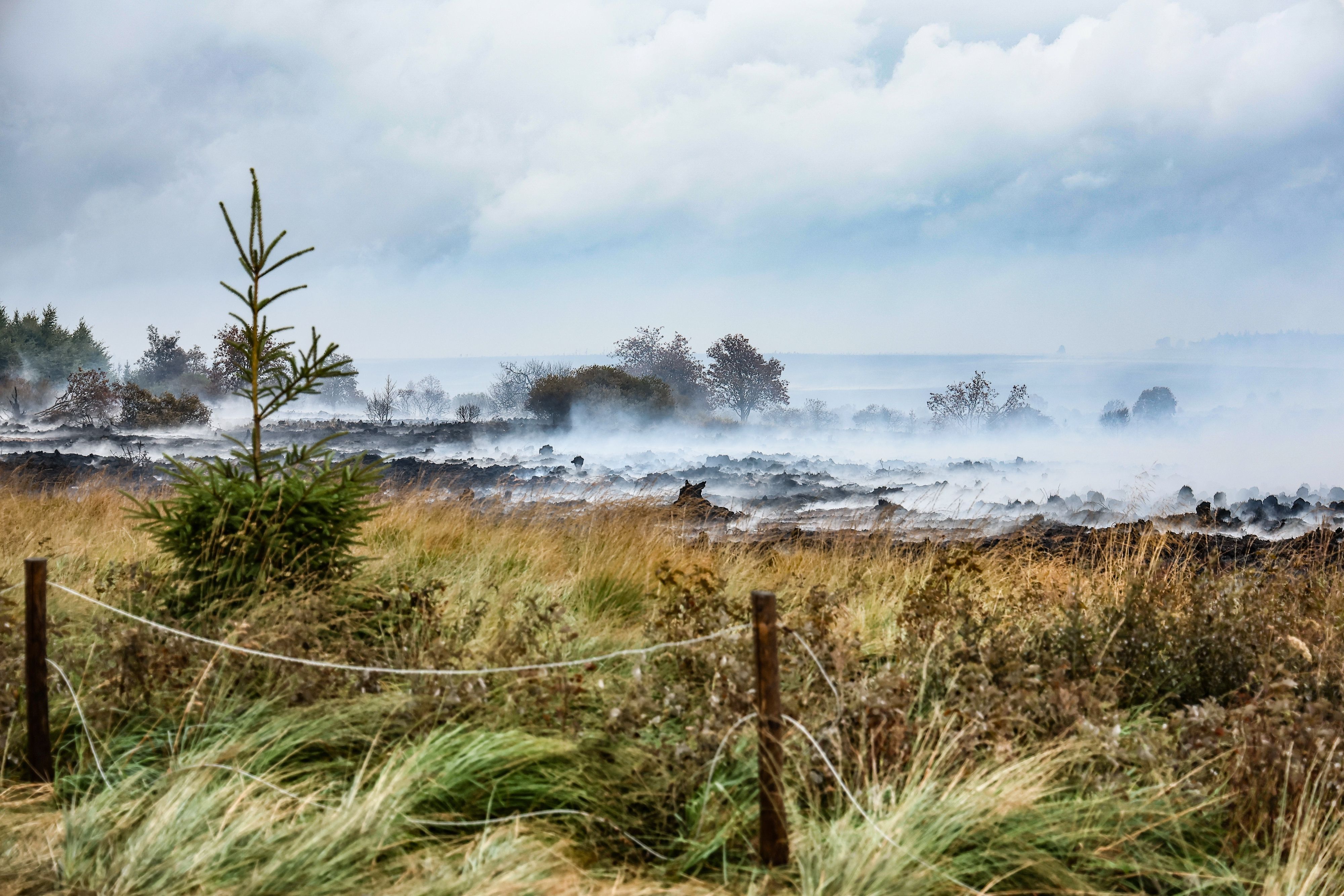 Rausch schwebt über der verbrannten Landschaft in der Nähe des Signal de Botrange am Ort des Brandes im Naturschutzgebiet Hohes Venn.