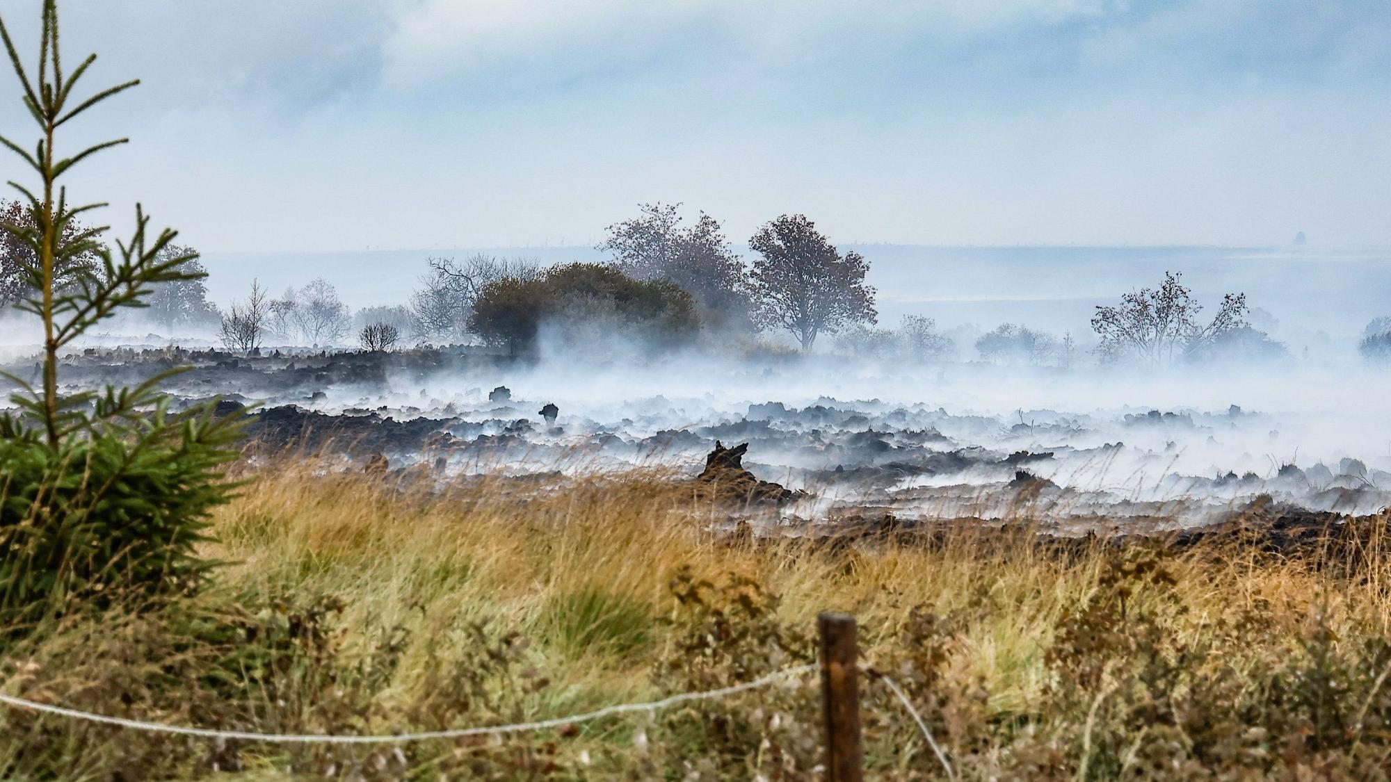 Rausch schwebt über der verbrannten Landschaft in der Nähe des Signal de Botrange am Ort des Brandes im Naturschutzgebiet Hohes Venn.