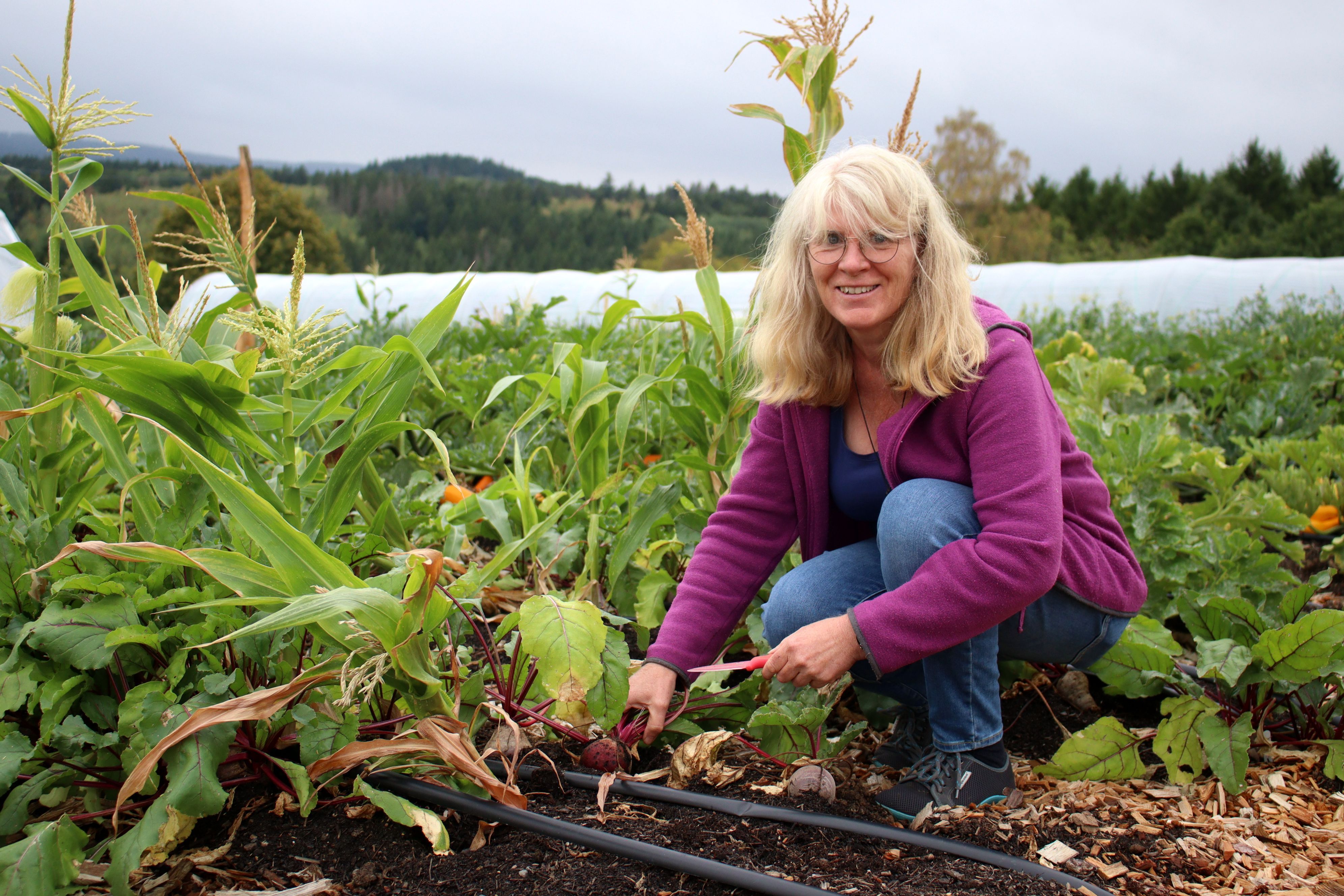 Barbara Düll Gregarek erntet, sie hält ein Messer in der Hand.