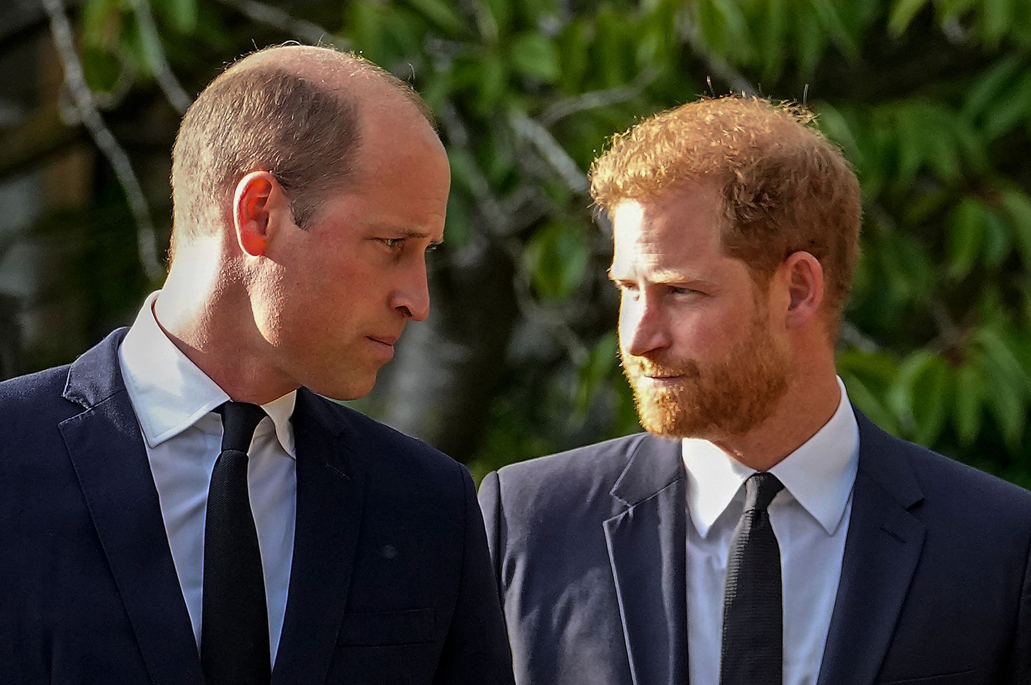 Prinz William und Prinz Harry