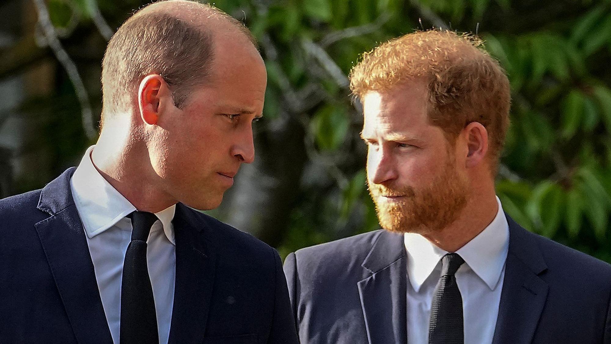 Prinz William und Prinz Harry