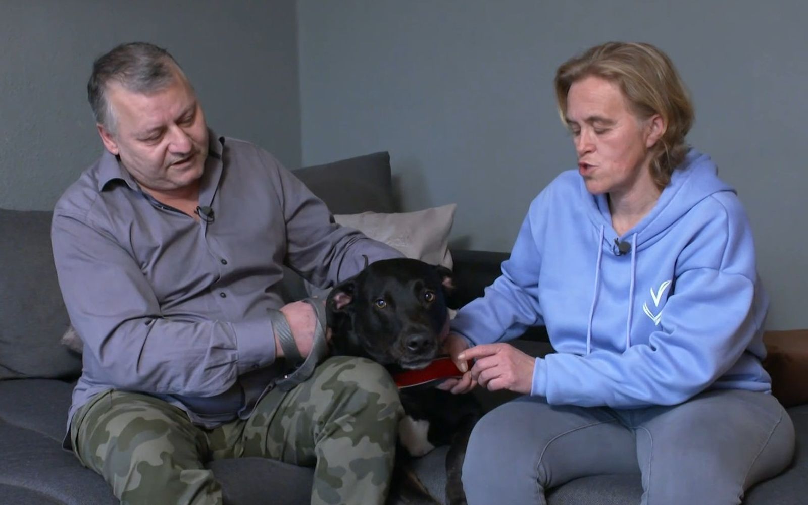 Ob bei Besuchern oder beim Spazieren draußen: Labrador Socke hält Falk und Katja ganz schön auf Trab. (Bild: RTL)