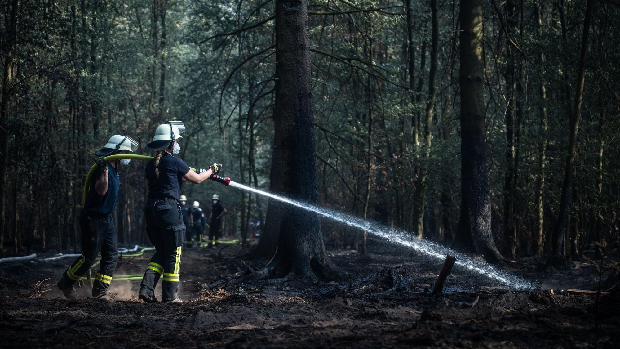 Waldbrand im Hürtgenwald