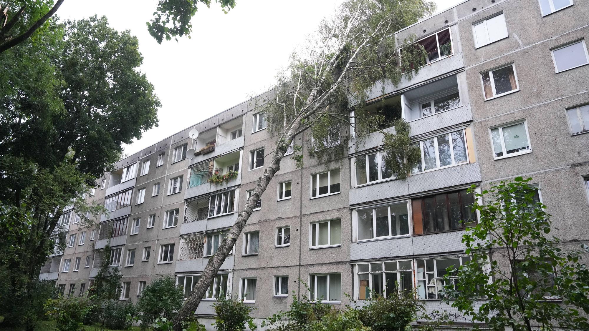 Ein heftiger Wirbelsturm fegte am Wochenende in Richtung über die drei baltischen Staaten hinweg und forderte zwei Todesopfer. In Riga waren die Schäden auch am Sonntag (23. August) noch vielerorts zu sehen.