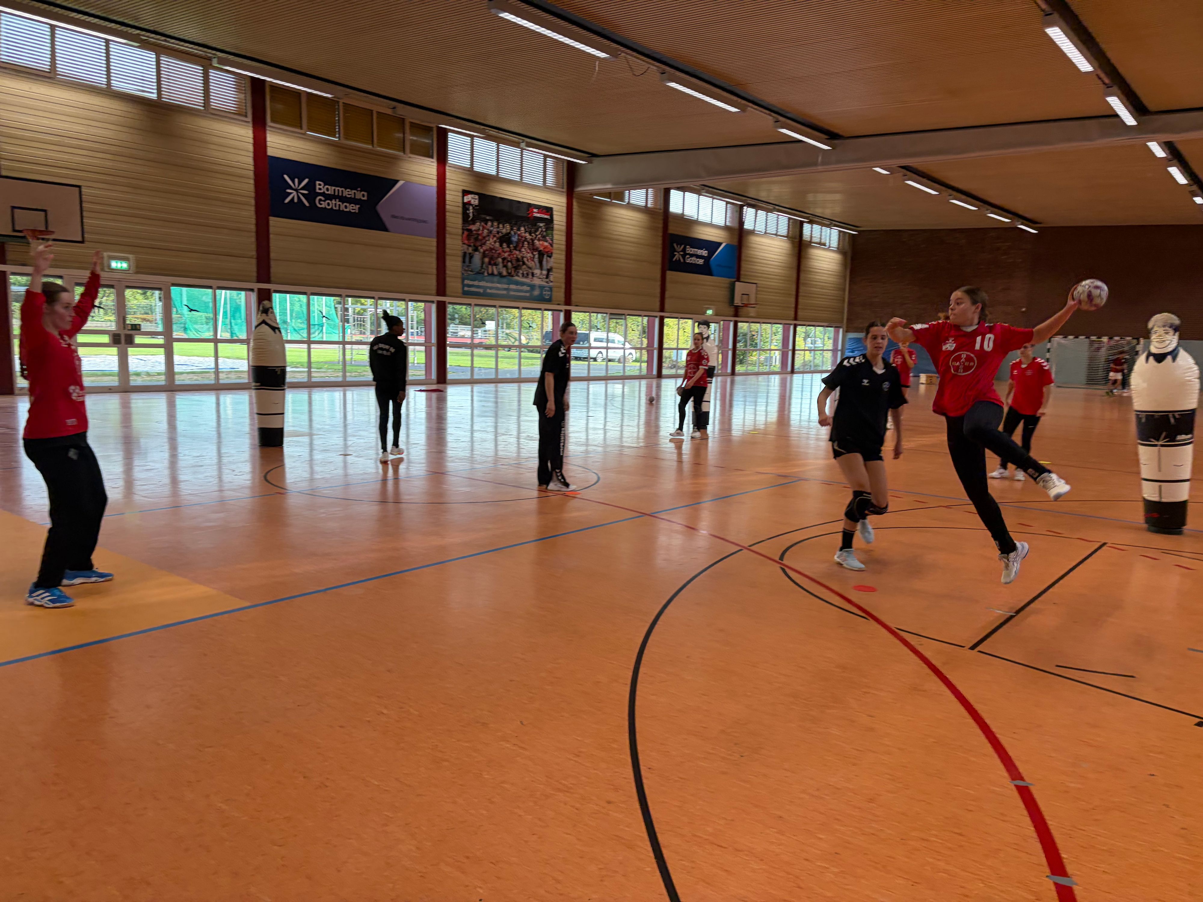In diesem Jahr hoffen die TSV-Handballerinnen vor allem auf eine ruhige Saison ohne Abstiegssorgen.