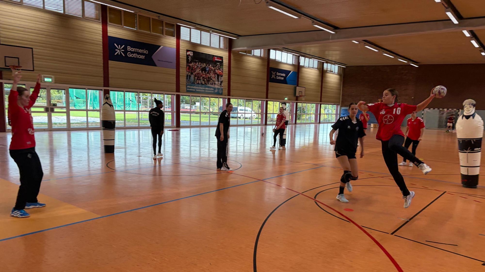 In diesem Jahr hoffen die TSV-Handballerinnen vor allem auf eine ruhige Saison ohne Abstiegssorgen.