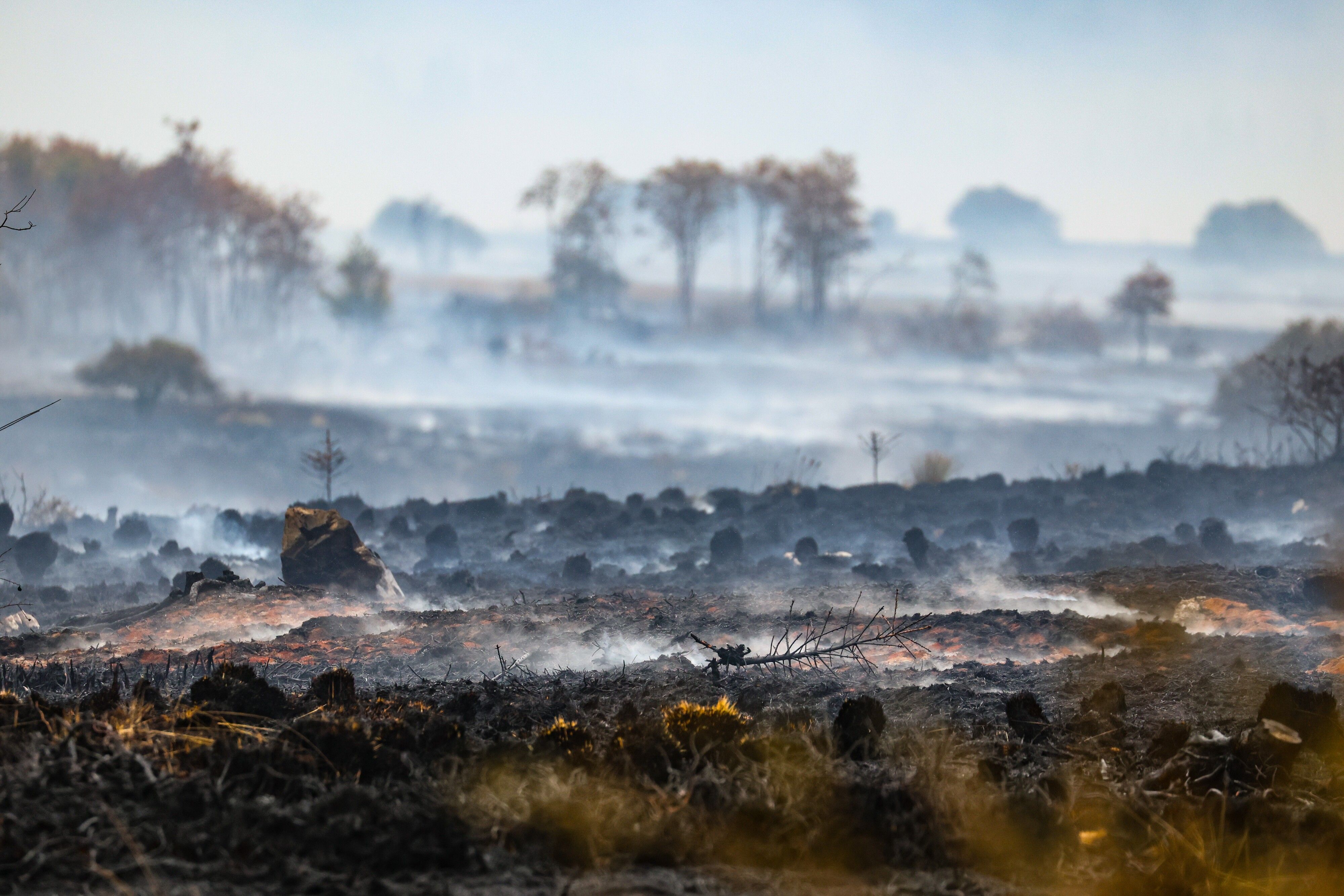 Rausch schwebt über der verbrannten Landschaft in der Nähe des Signal de Botrange am Ort des Brandes im Naturschutzgebiet Hohes Venn.