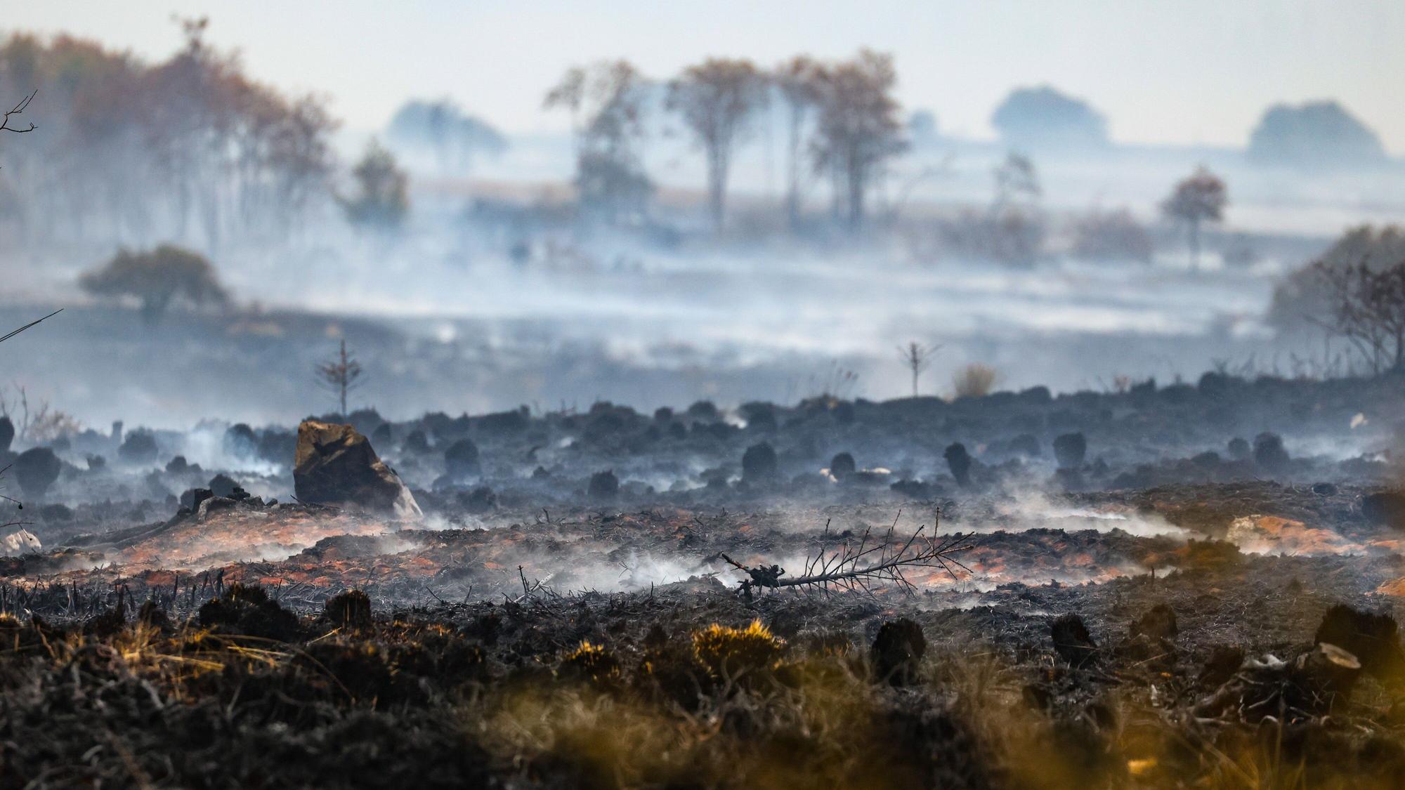 Rausch schwebt über der verbrannten Landschaft in der Nähe des Signal de Botrange am Ort des Brandes im Naturschutzgebiet Hohes Venn.