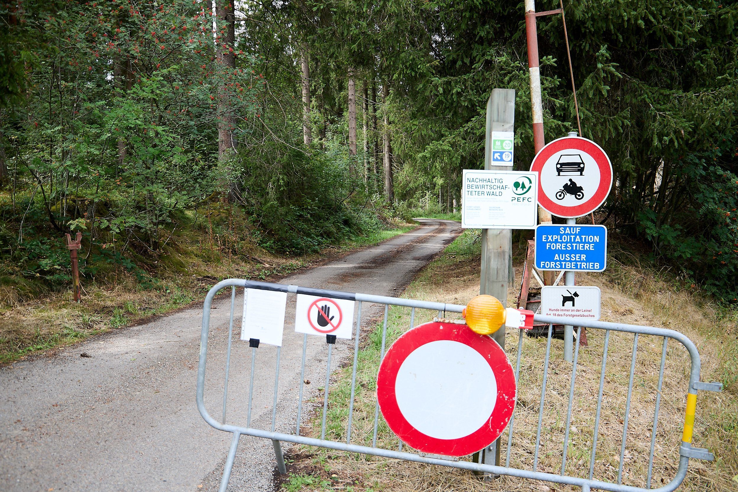 An einem Weg, der in in ein Waldgebiet führt, stehen Hinweisschilder und ein Absperrgitter.