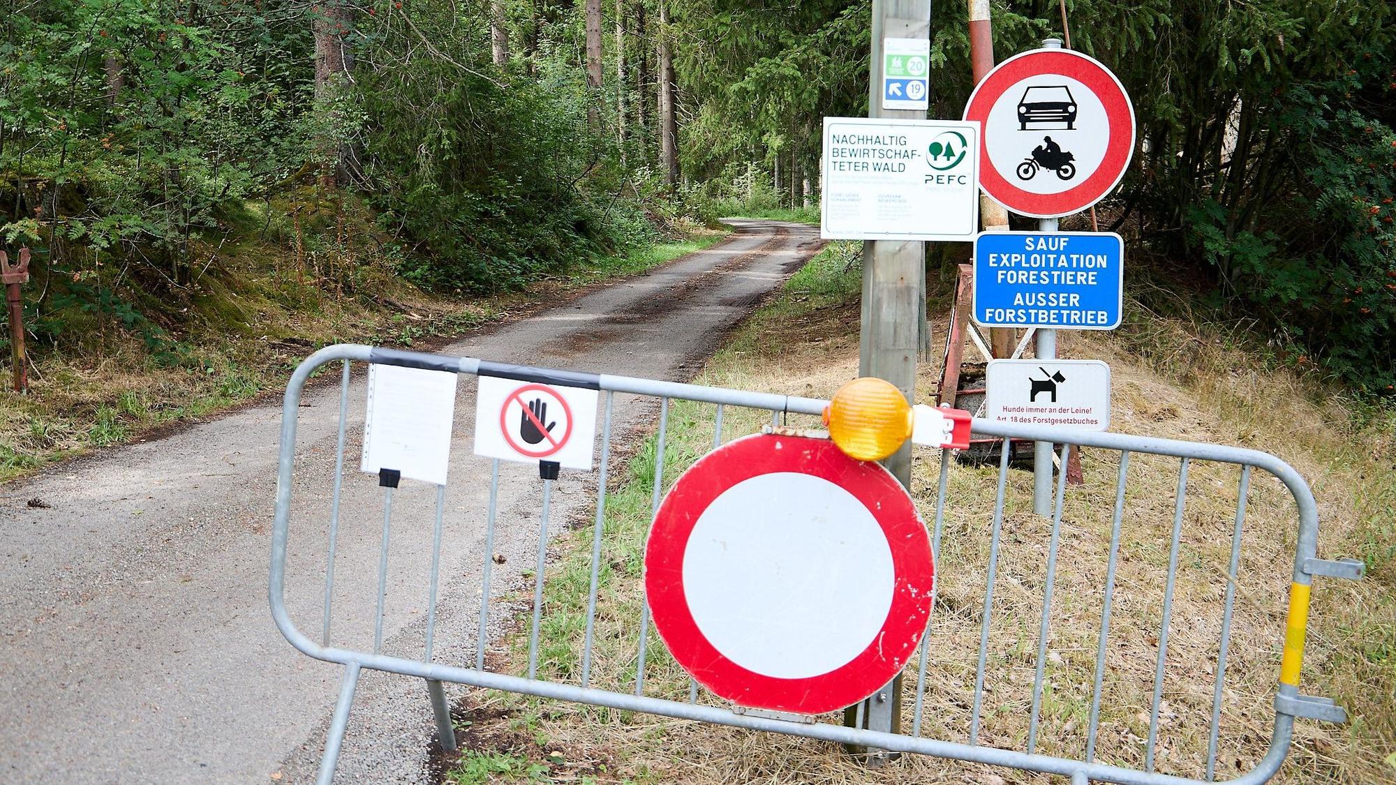 An einem Weg, der in in ein Waldgebiet führt, stehen Hinweisschilder und ein Absperrgitter.