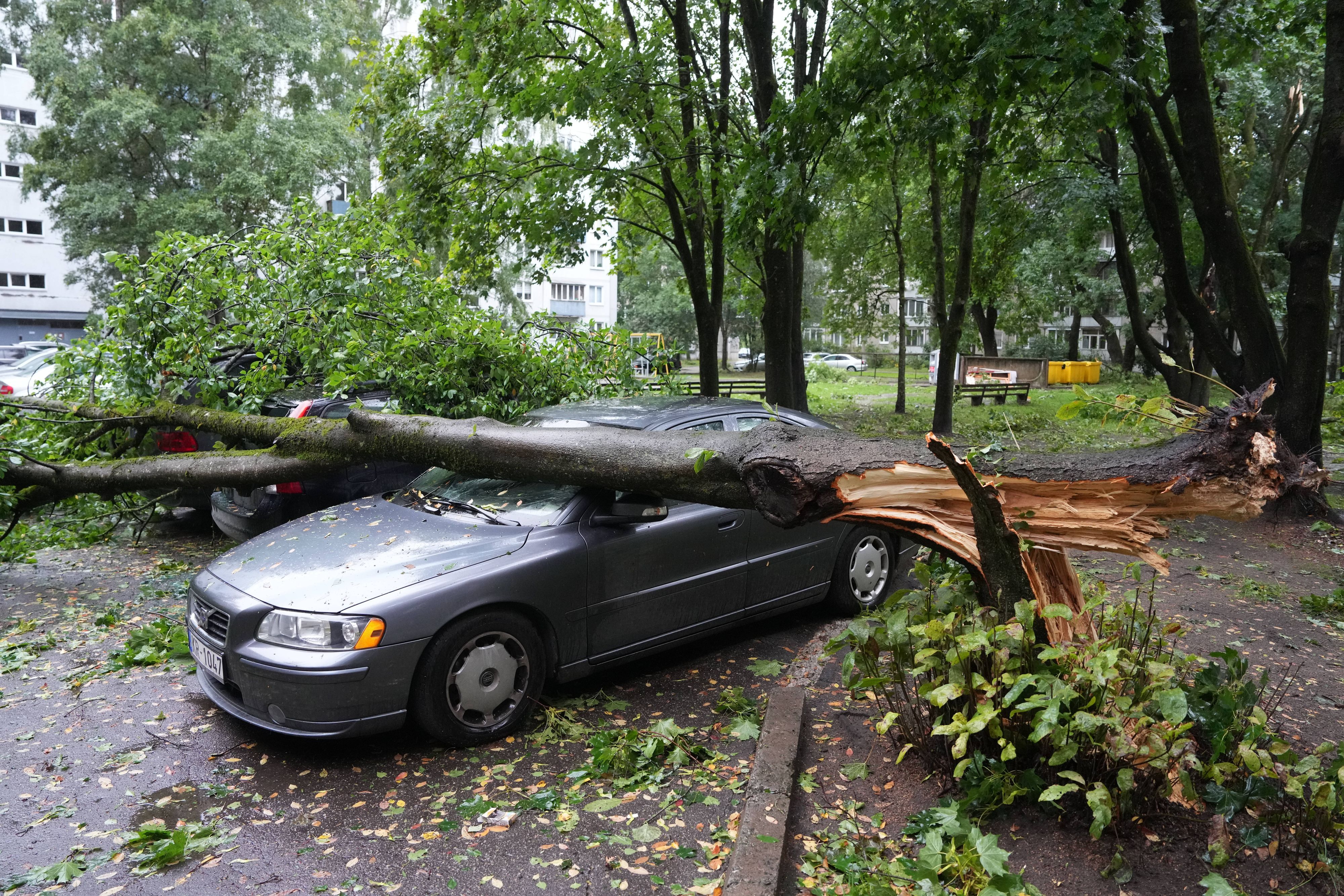 Der Jahrhundertsturm sorgte in Riga für jede Menge Schäden.