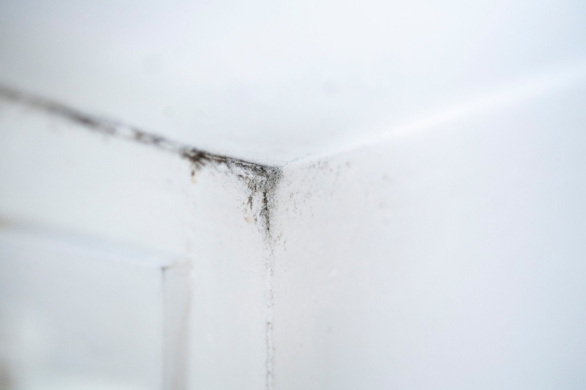 Schimmelsporen in der Ecke eines Küchenfensters