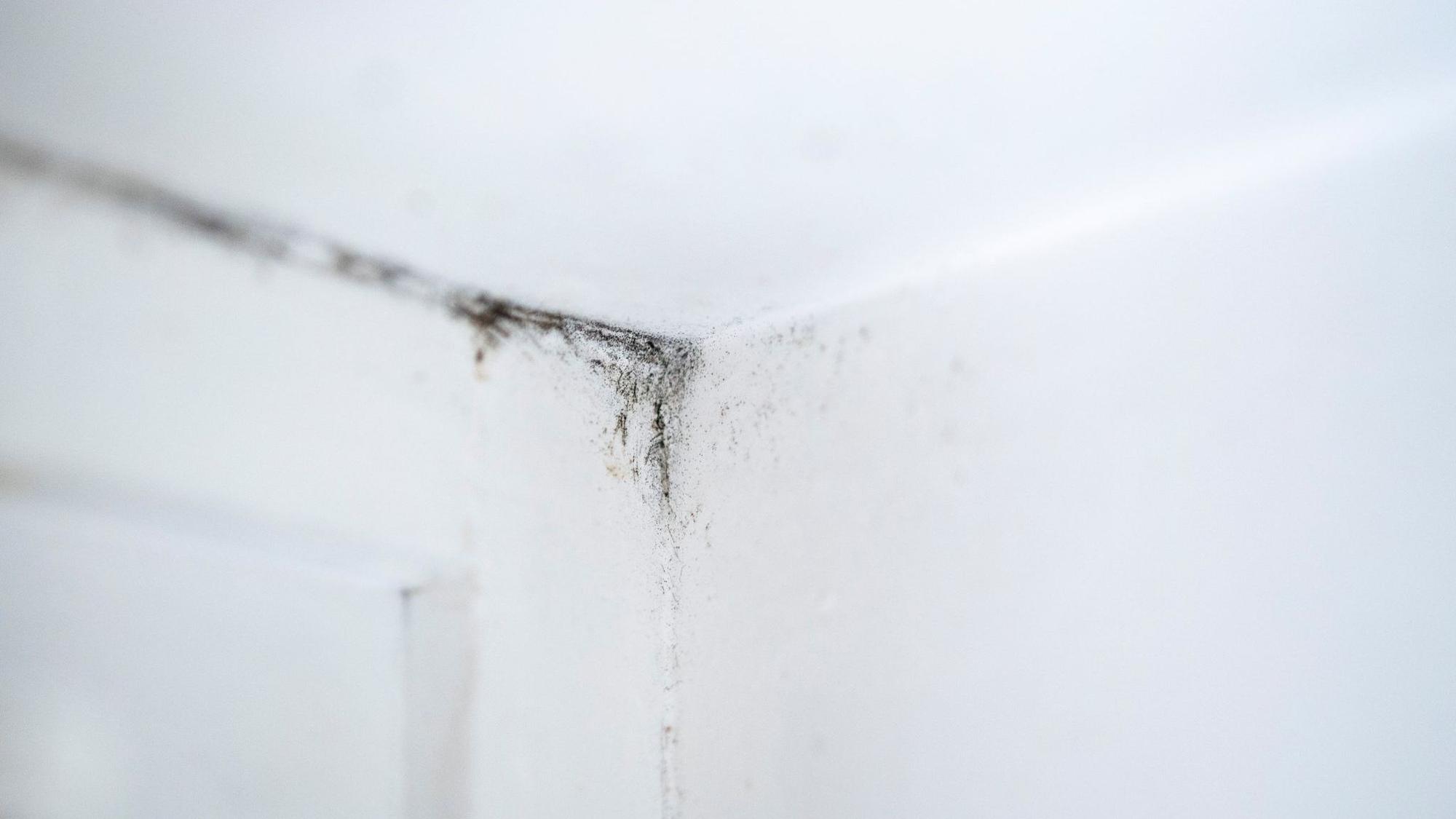 Schimmelsporen in der Ecke eines Küchenfensters