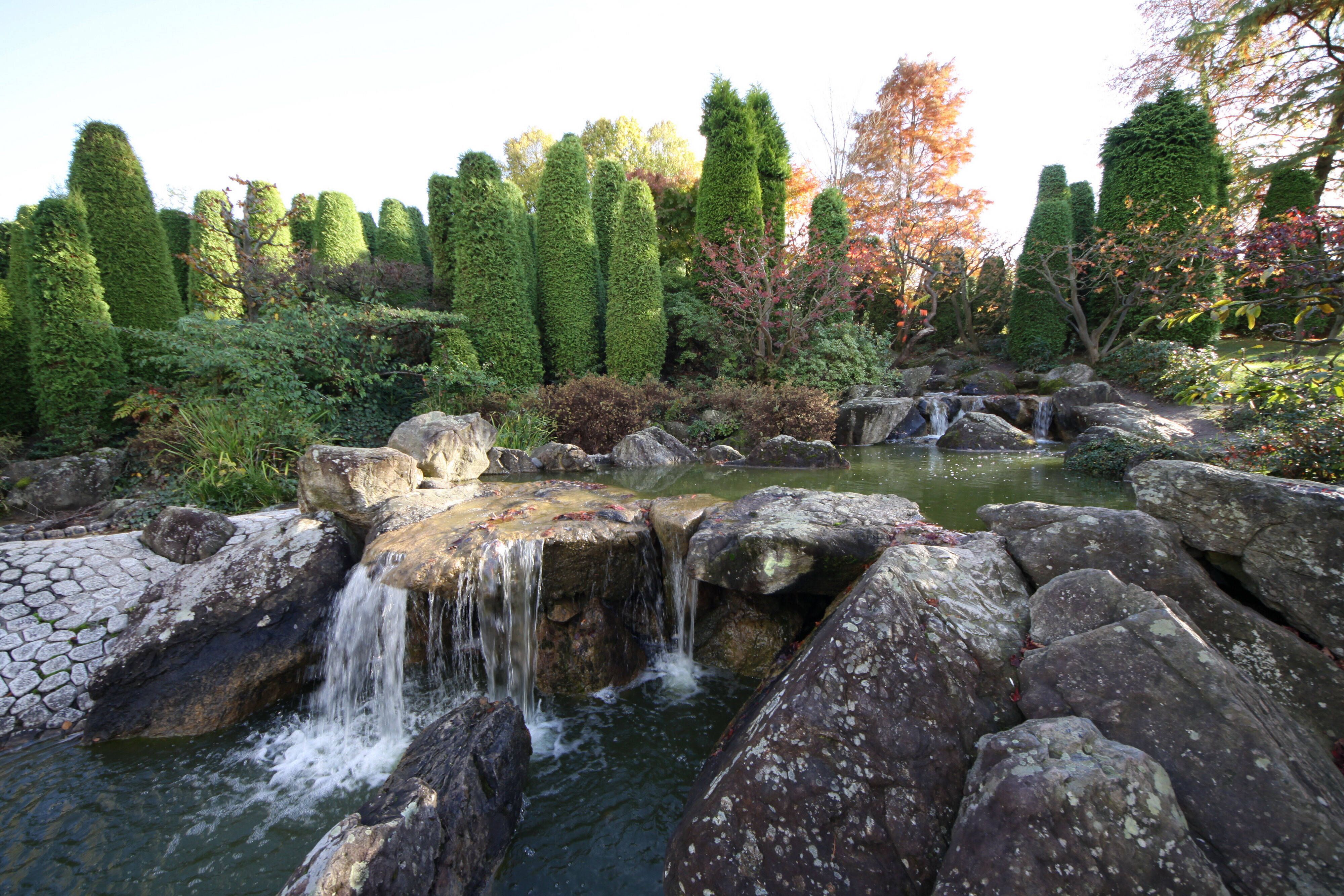 Im Bonner Rheinauenpark bildet der 1979 zur Bundesgartenschchau geschaffene Japanische Garten eine Oase fernöstlicher Gartenkunst.