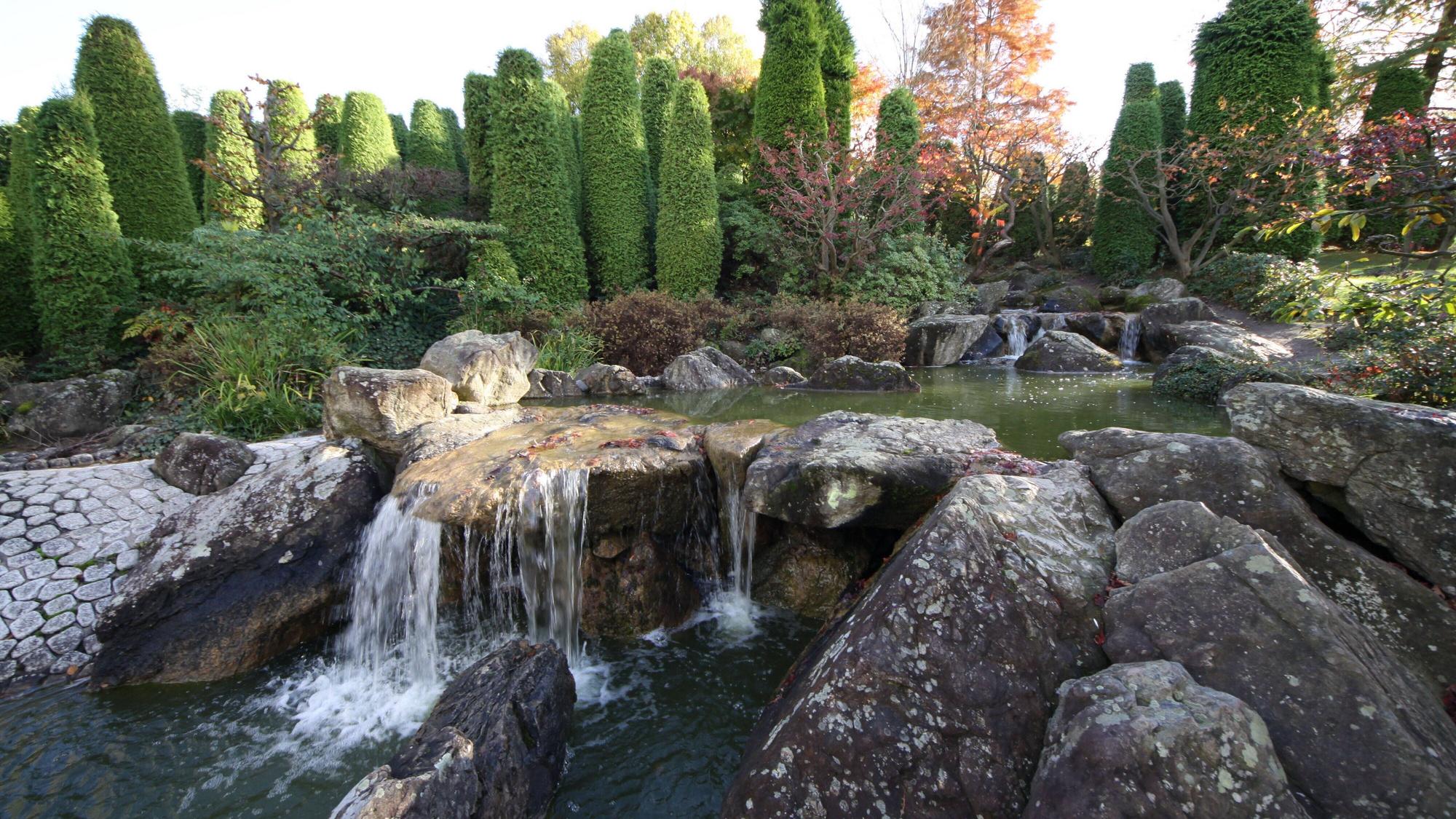 Im Bonner Rheinauenpark bildet der 1979 zur Bundesgartenschchau geschaffene Japanische Garten eine Oase fernöstlicher Gartenkunst.