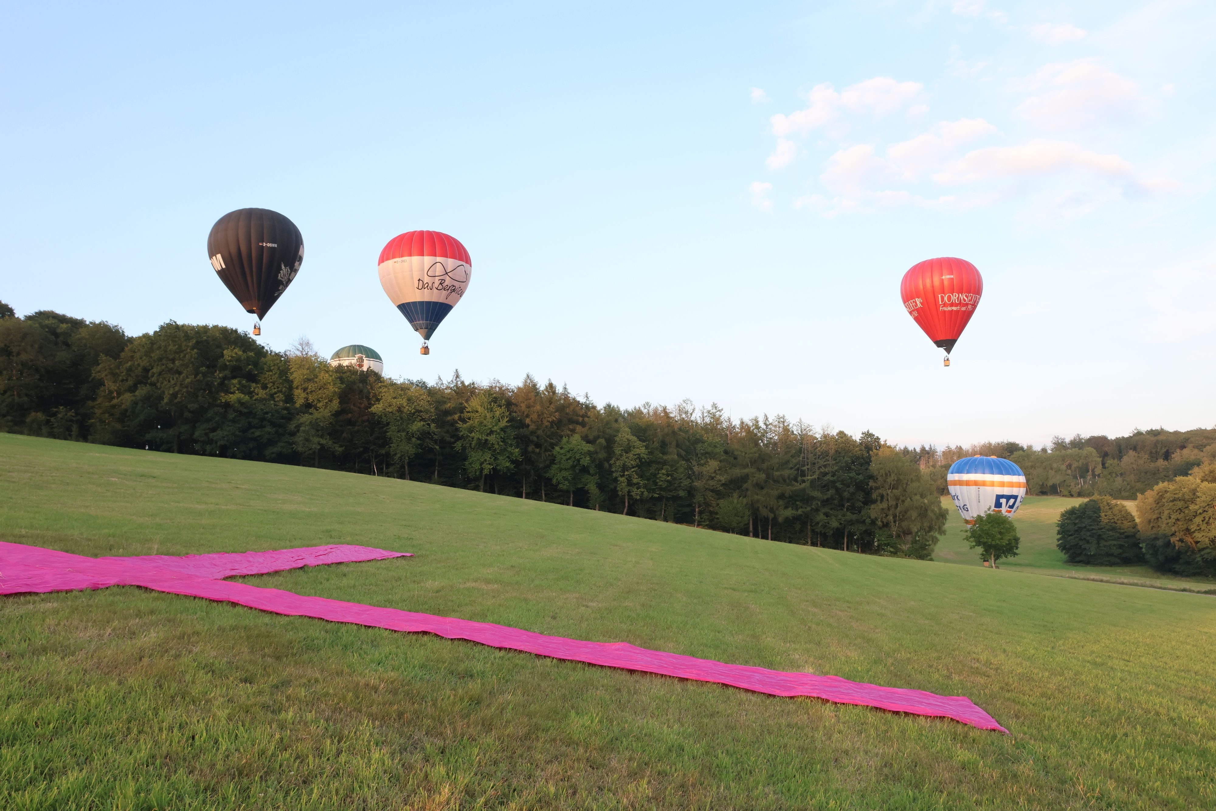 Zu sehen sind mehrere Heißluftballons und ein auf einer Wiese ausgelegtes großes Kreuz aus Stoffbahnen.