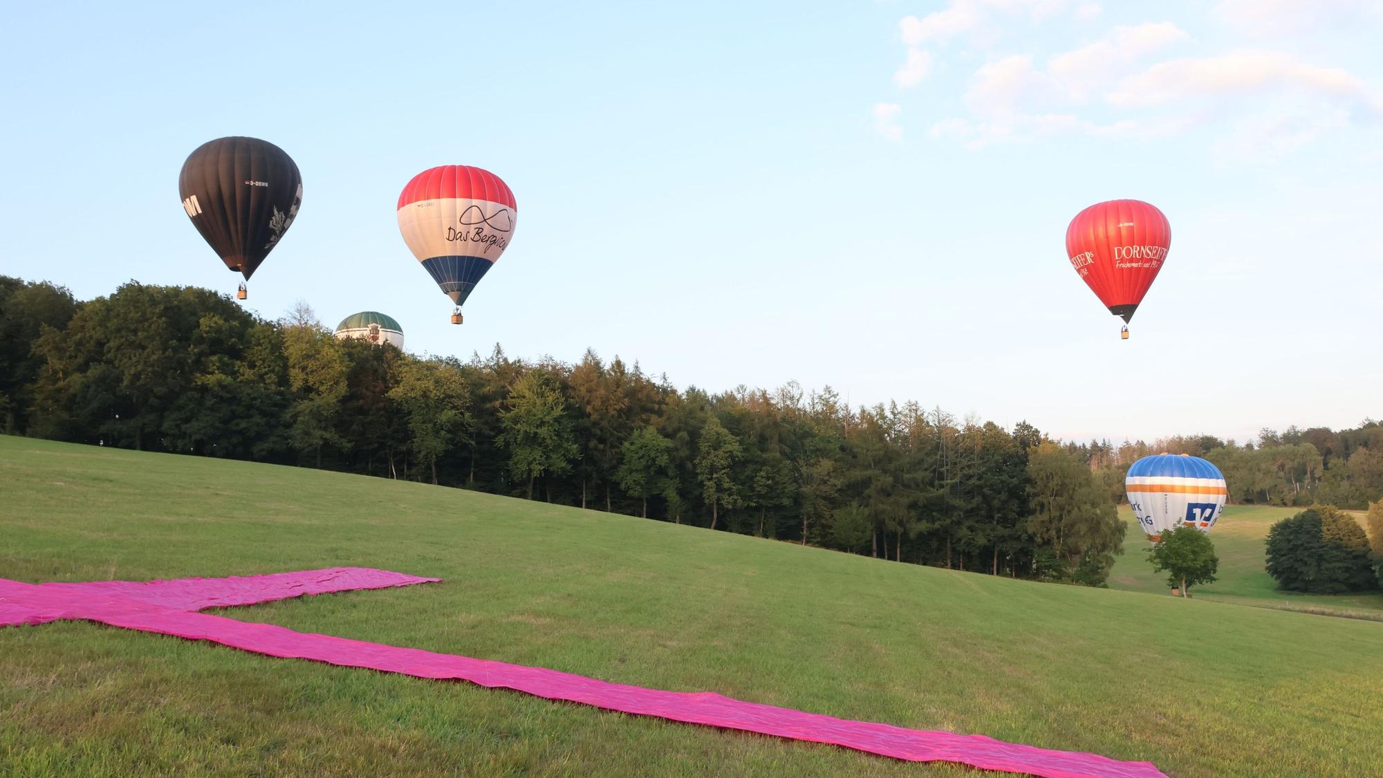Zu sehen sind mehrere Heißluftballons und ein auf einer Wiese ausgelegtes großes Kreuz aus Stoffbahnen.