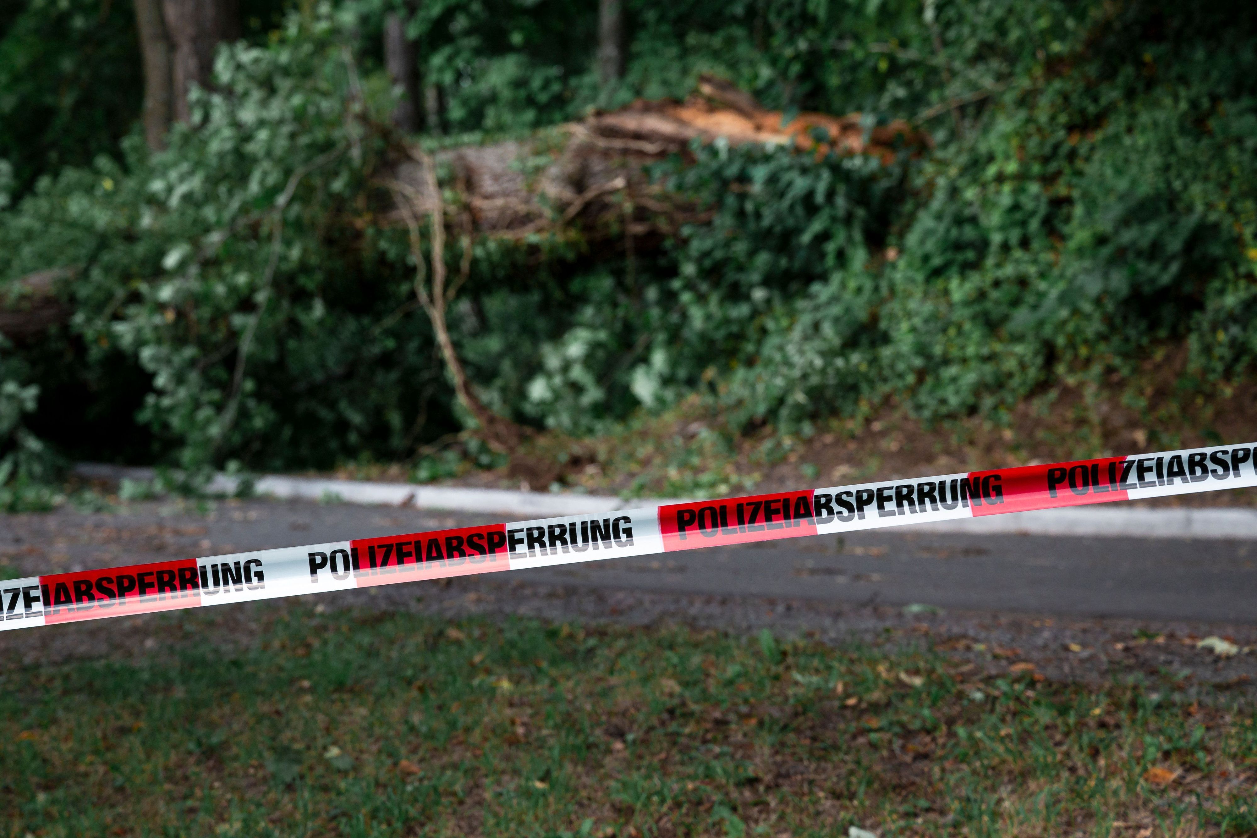 Der Sturm hatte in vielen Teilen Deutschlands schwere Schäden hinterlassen und etliche Bäume entwurzelt (Archivfoto).