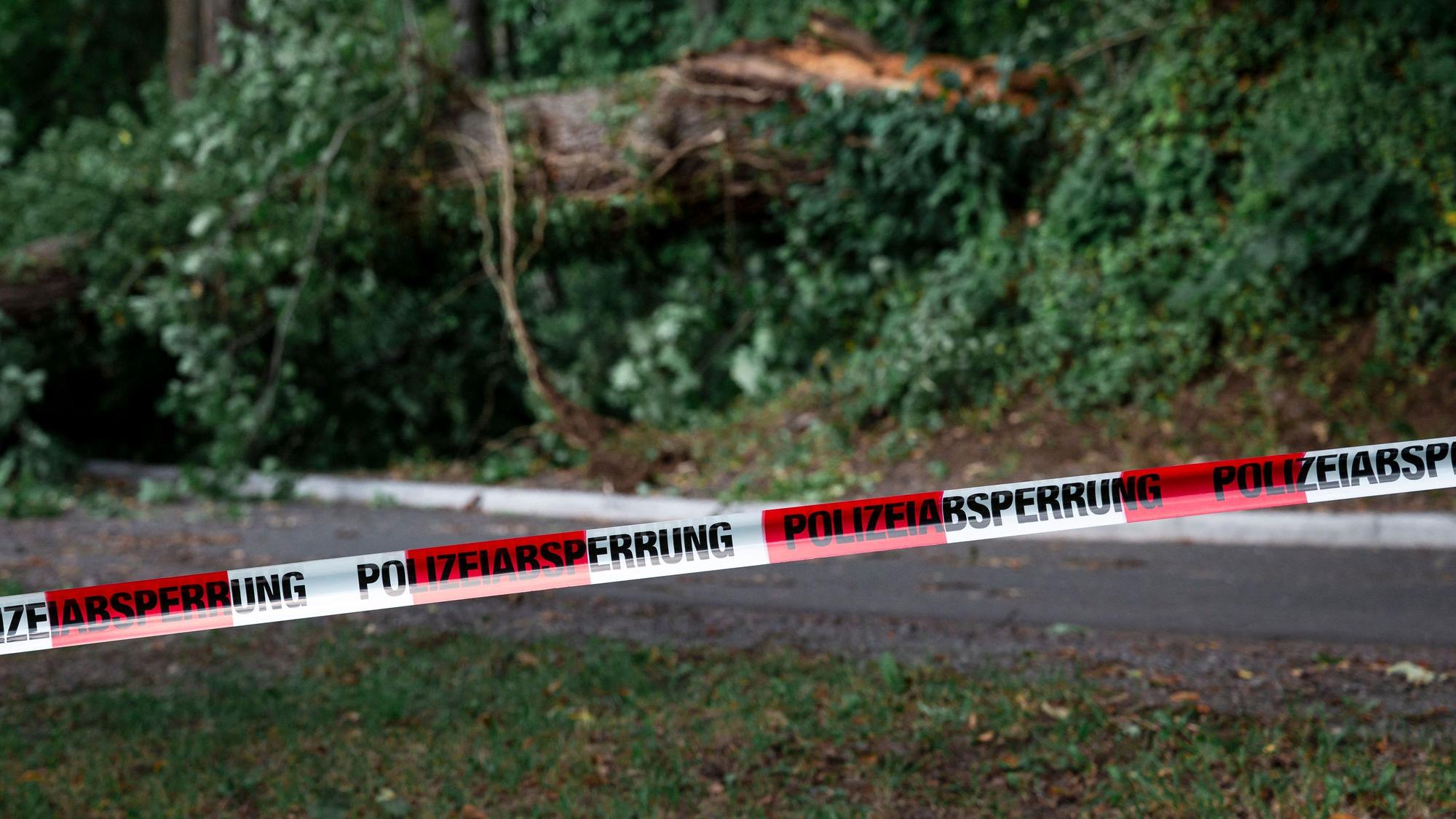 Der Sturm hatte in vielen Teilen Deutschlands schwere Schäden hinterlassen und etliche Bäume entwurzelt (Archivfoto).