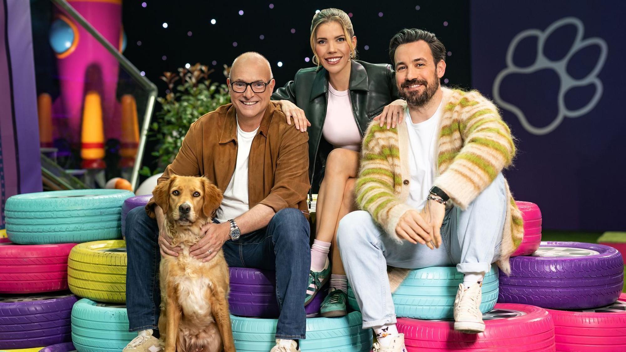Mit „Top Dog Germany“ hat sich RTL gegen die Fortführung eines Quotengaranten entschieden. Die Show ist auch auf RTL+ abrufbar. (Bild: RTL / Markus Hertrich)