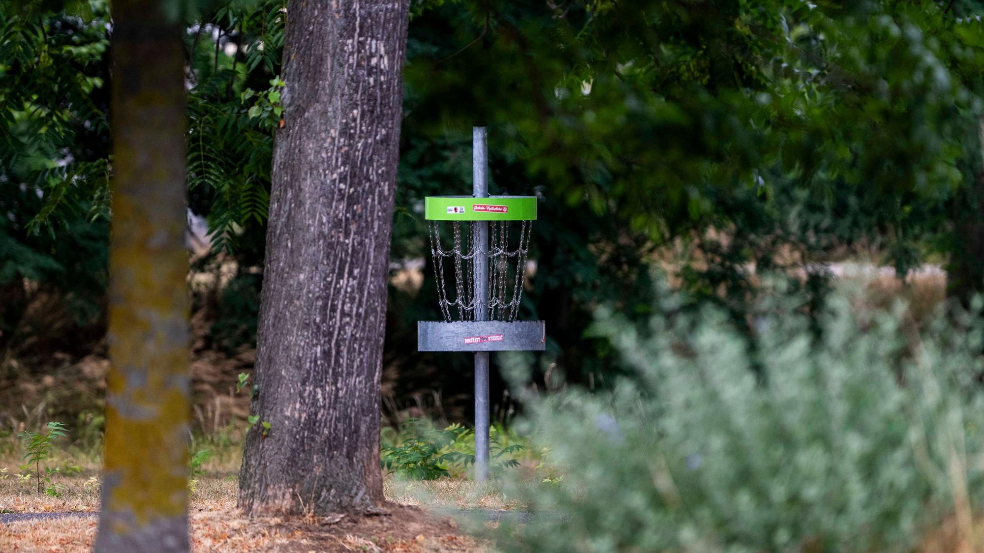 Ein Ziel für Disc-Golf steht neben einem Baum.