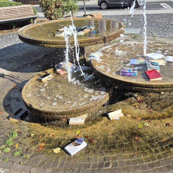 In einem Brunnen liegen Bücher.