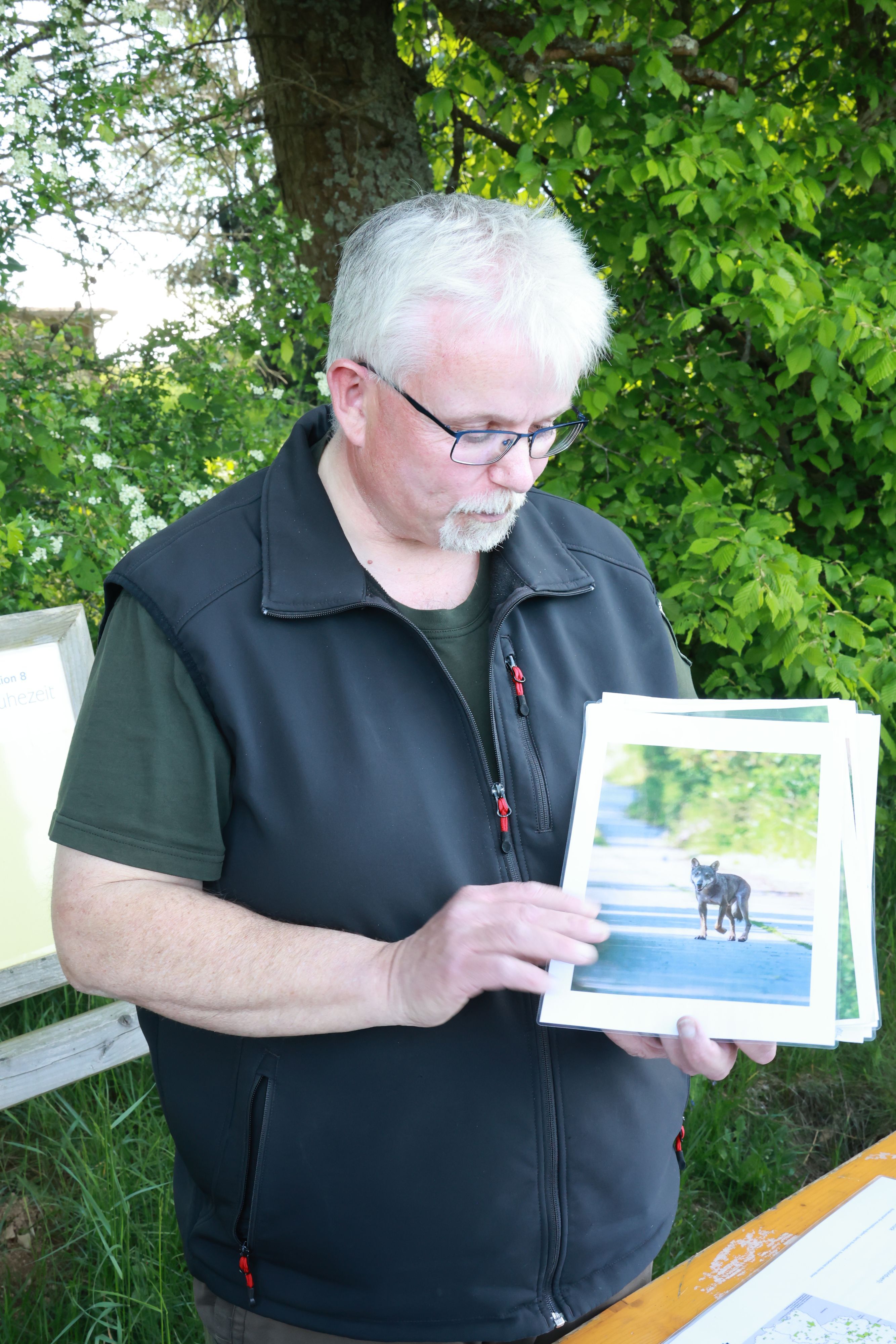 Wolfsberater Markus Vollmer hält ein Foto in der Hand, das einen Wolf zeigt.