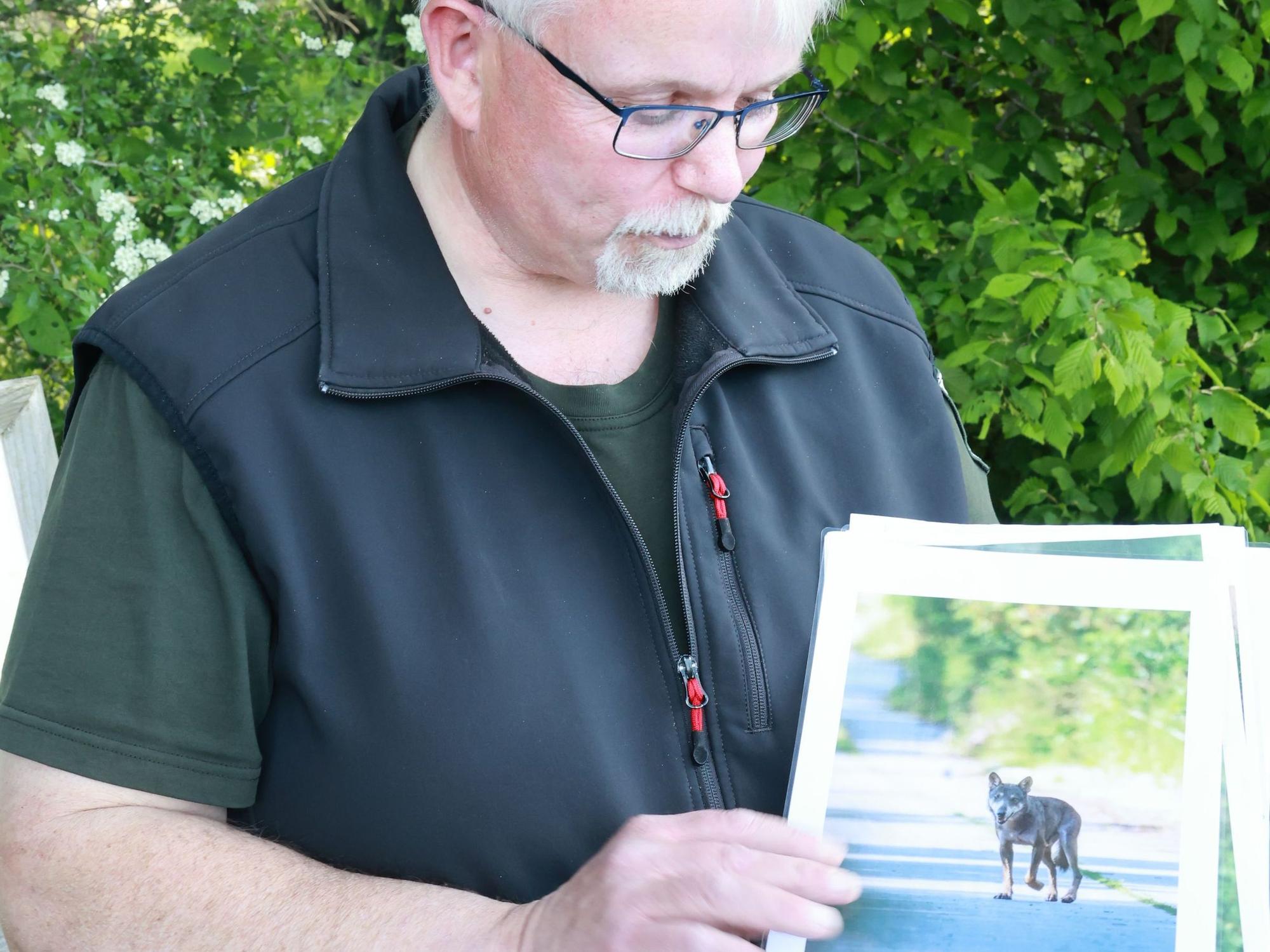 Wolfsberater Markus Vollmer hält ein Foto in der Hand, das einen Wolf zeigt.