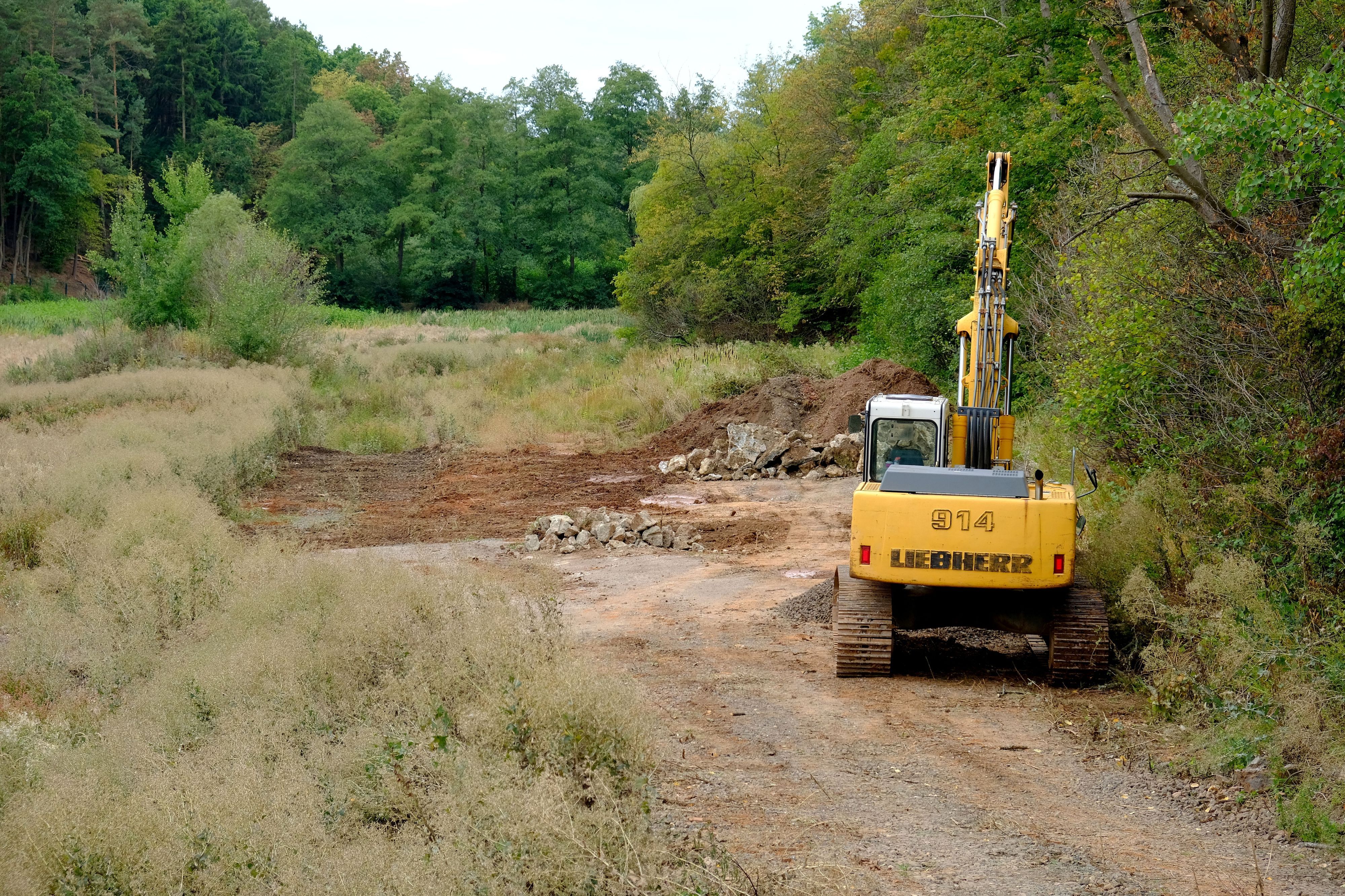 Ein Bagger steht auf dem Grund des wasserlosen Mühlensees, auf dem sich ein dichter Pflanzenbewuchs ausgebreitet hat.