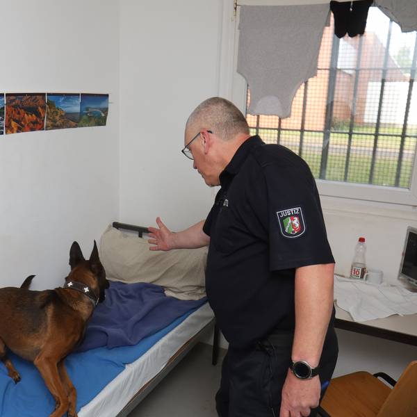 Bei unterschiedlichen Maßnahmen wurden in der Justizvollzugsanstalt Köln in den letzten Jahren Betäubungsmittel und Mobiltelefone bei den Inhaftierten sichergestellt. Ein Diensthundeführer mit seinem Hund durchsucht ein Haftraum im Haus 11 der JVA.