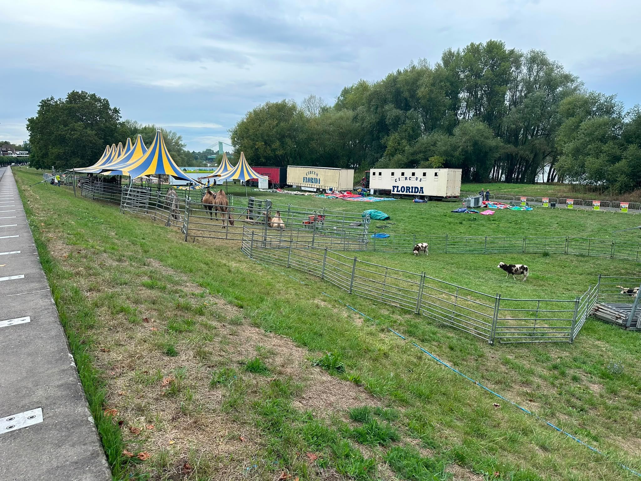 Skippy's Kinderwelt wird aufgebaut, es stehen schon Tiere in Gehegen.