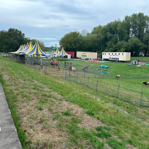 Skippy's Kinderwelt wird aufgebaut, es stehen schon Tiere in Gehegen.
