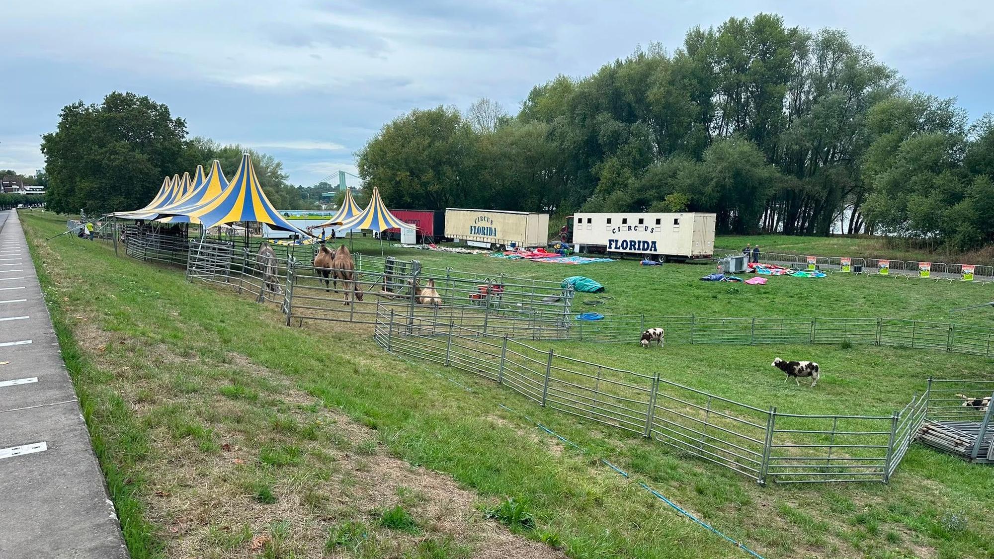 Skippy's Kinderwelt wird aufgebaut, es stehen schon Tiere in Gehegen.