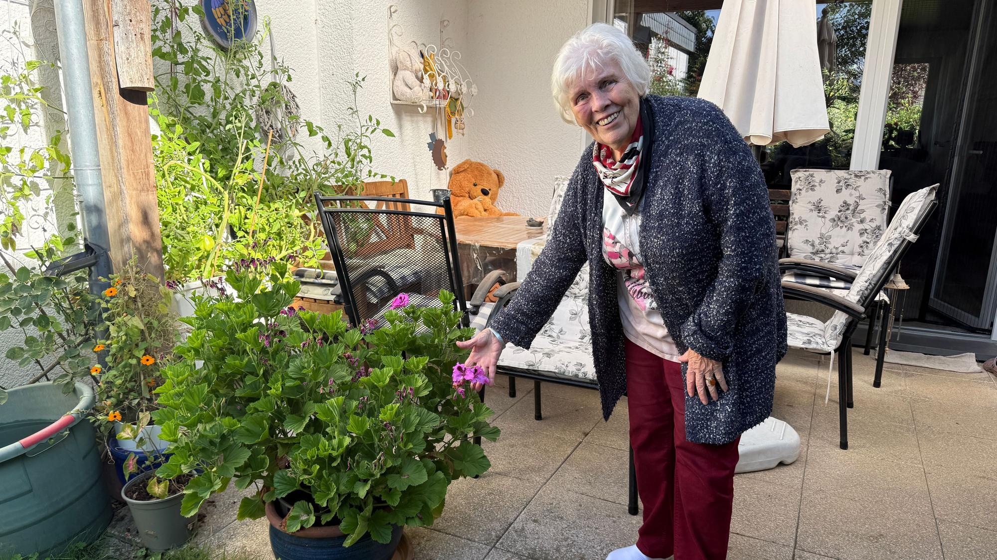 Rita Sackmann hat vor 54 Jahren aus dem Urlaub den Ableger einer Geranienpflanze mitgebracht