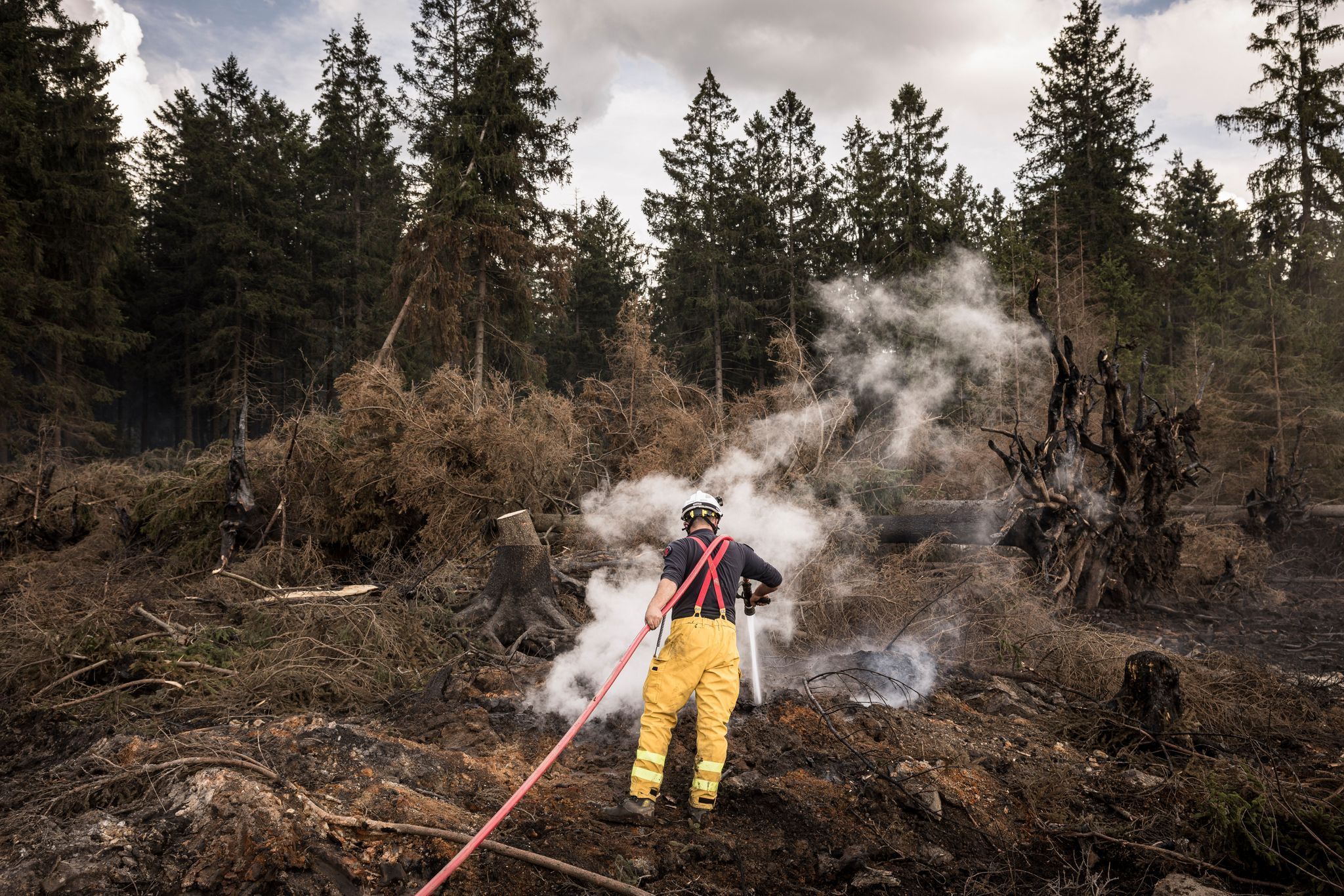 Waldbrand im Hohen Venn