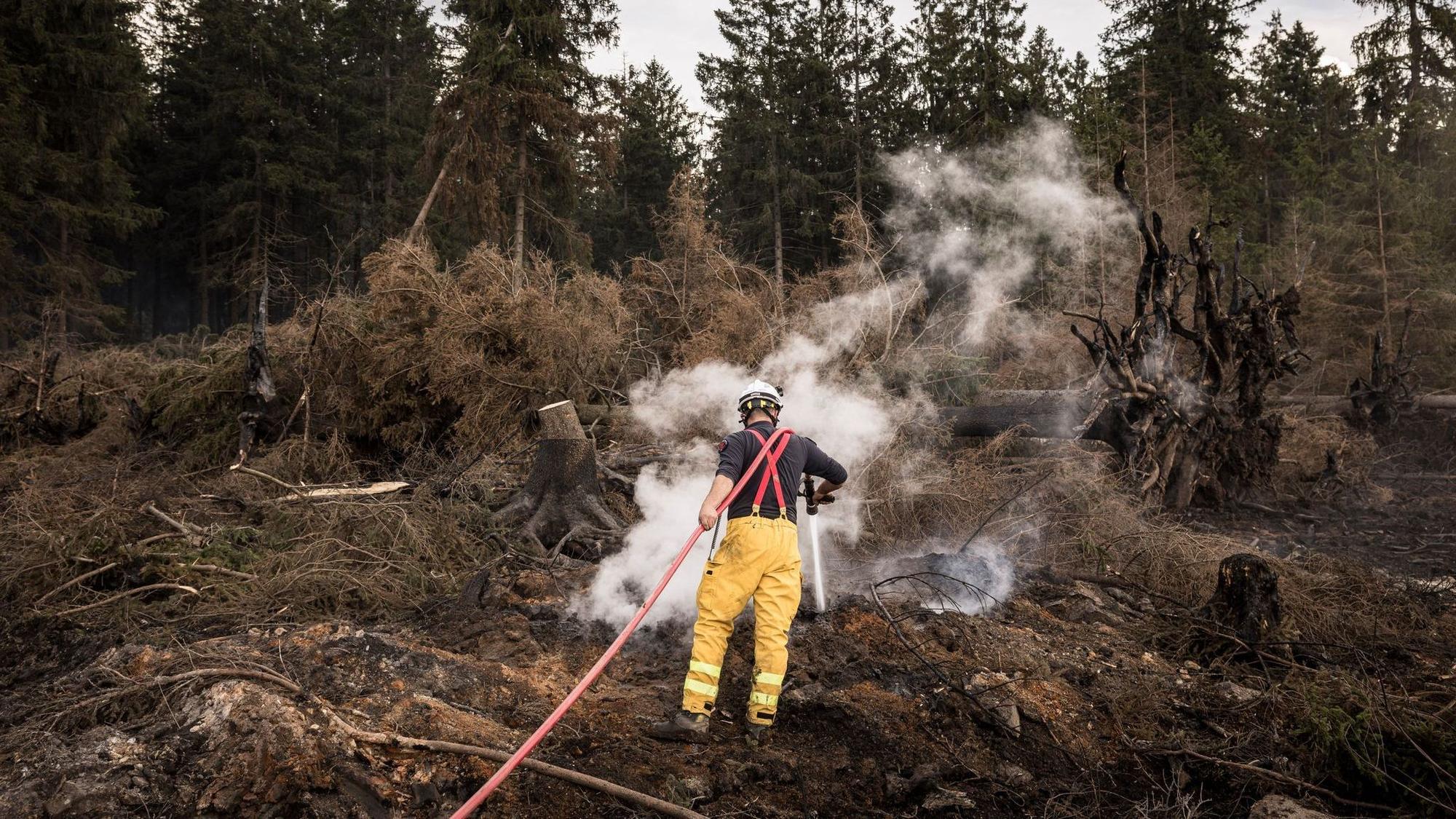 Waldbrand im Hohen Venn
