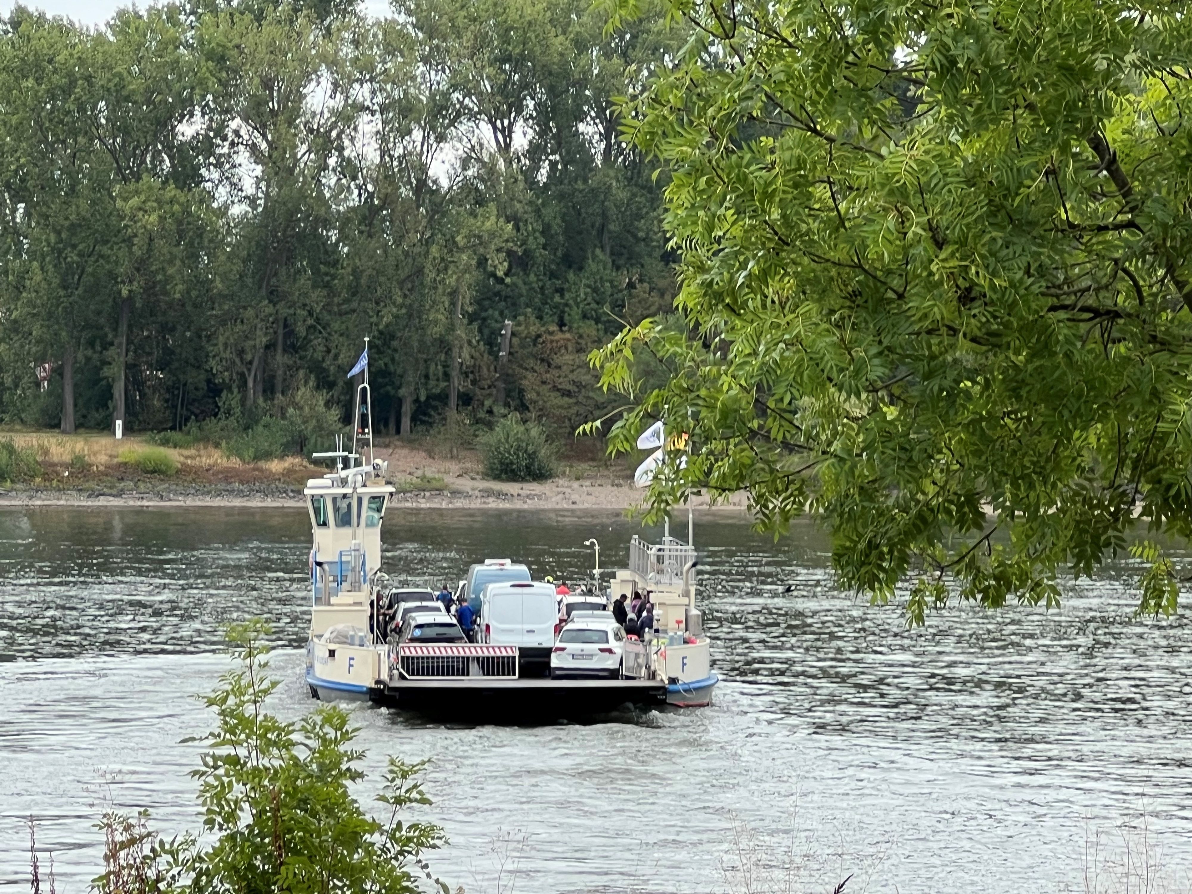 Das Niedrigwasser im Rhein hat sich so weit beruhigt, dass alle gängigen Fähren wieder fahren können. In Mondorf gibt es nach wie vor auf beiden Seiten lange Wartezeiten, hier ist inzwischen nur noch eine Autofähre in Betrieb.