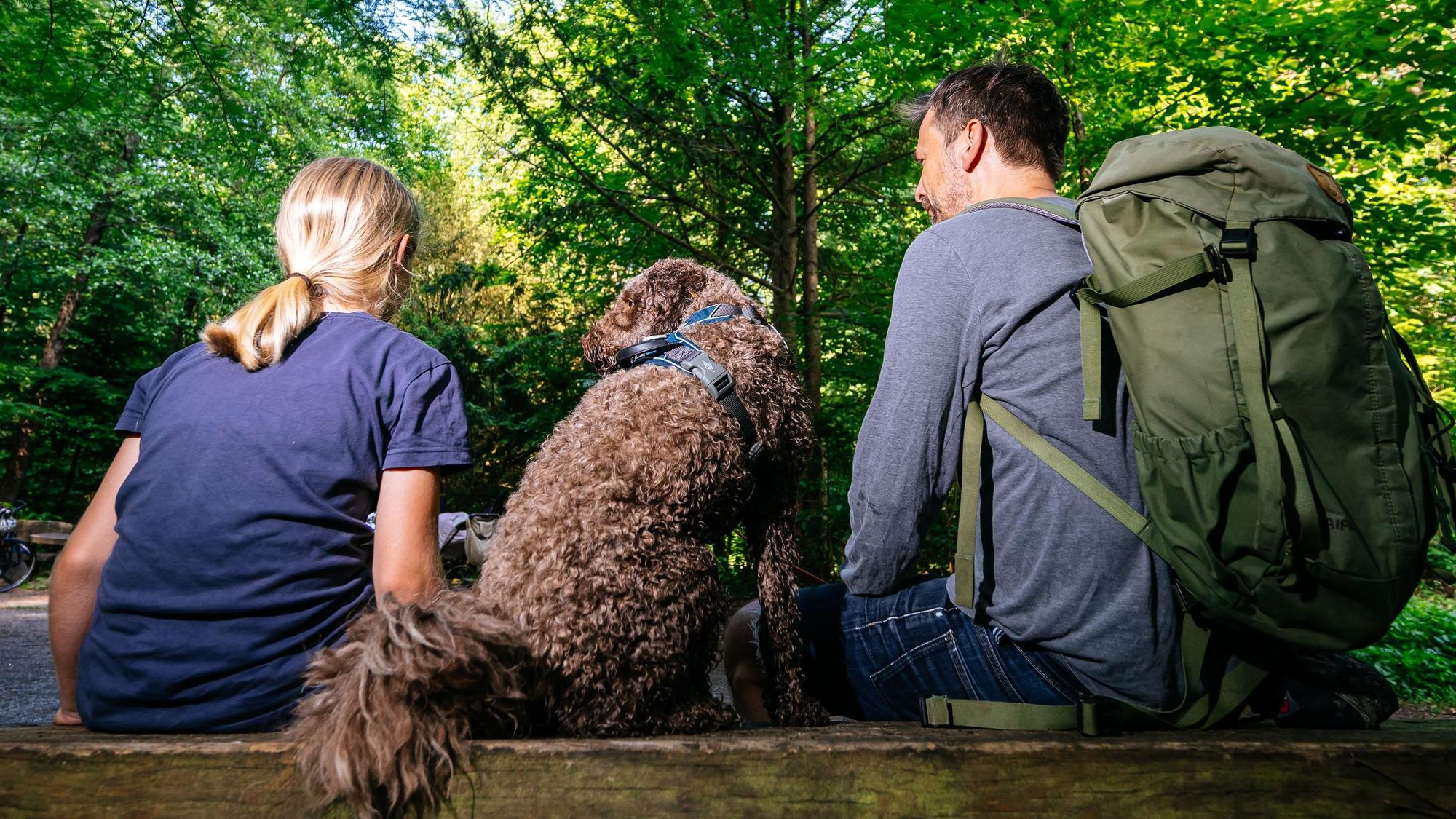 Leute mit einem Hund auf einer Bank im Wald.