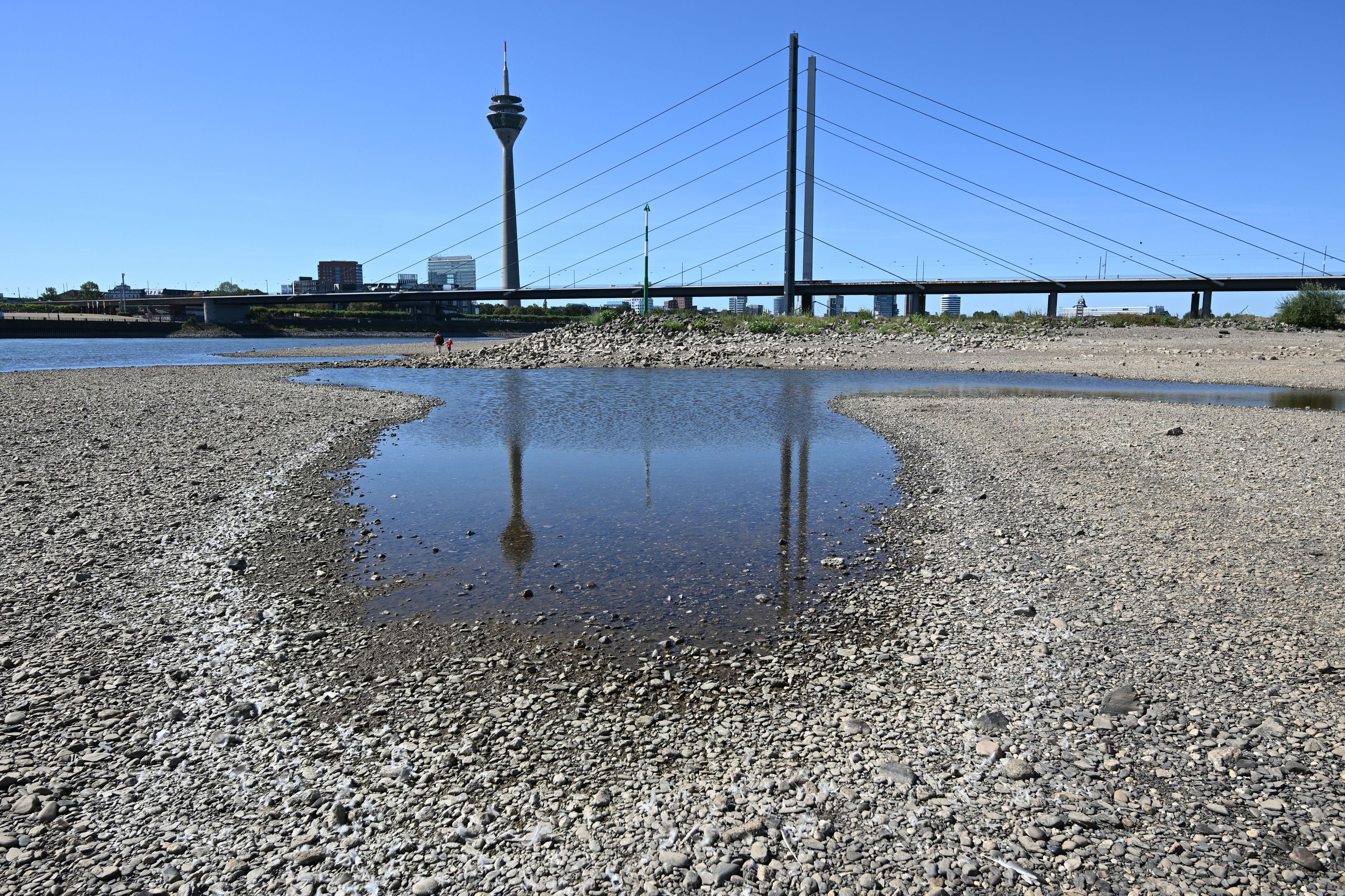Der Rheinturm spiegelt sich bei niedrigem Wasserstand auf dem Rhein in einer Lache. Das Niedrigwasser macht das Forschungsschiff Nova zum Hoffnungsträger.