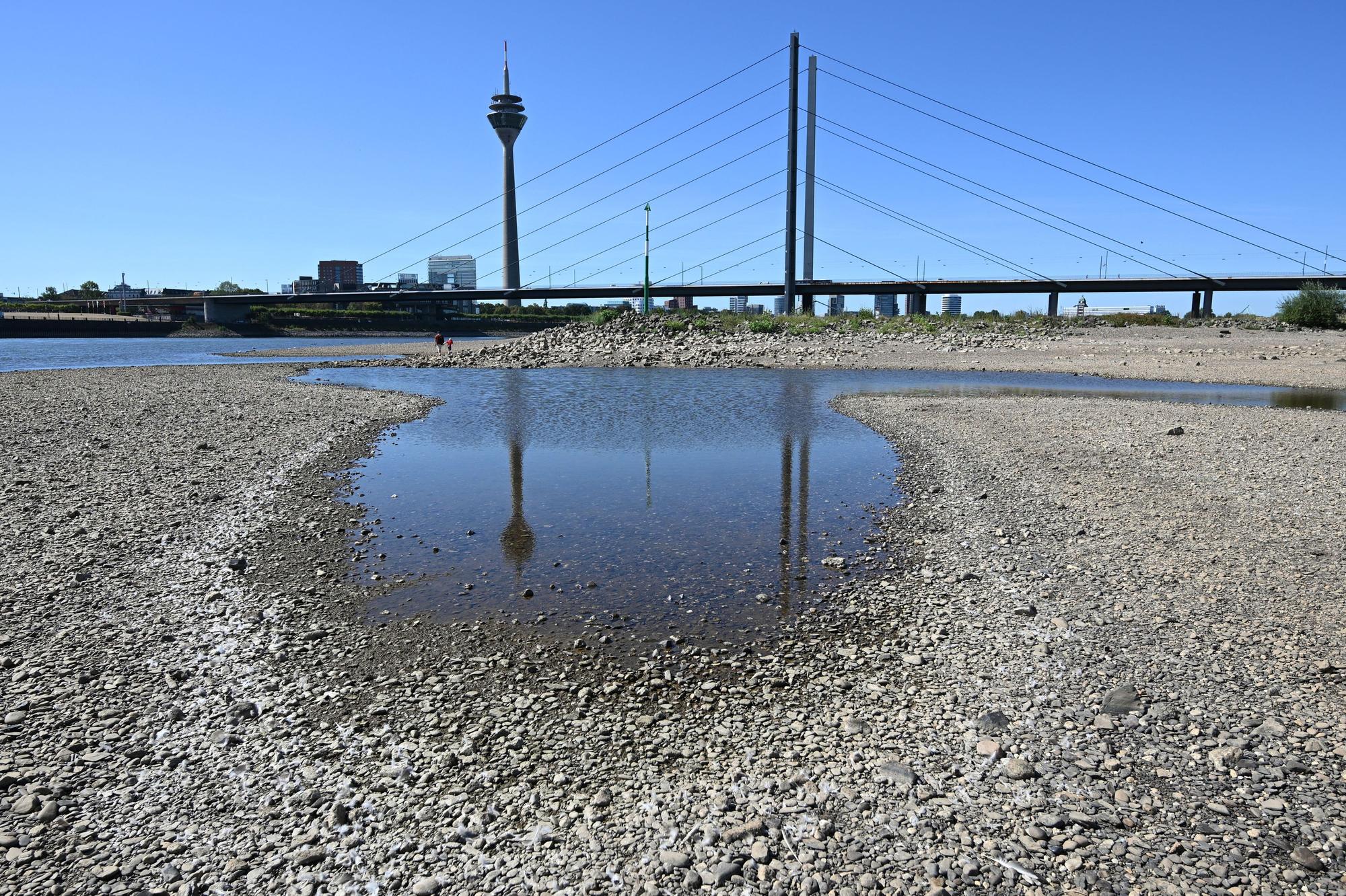 Der Rheinturm spiegelt sich bei niedrigem Wasserstand auf dem Rhein in einer Lache. Das Niedrigwasser macht das Forschungsschiff Nova zum Hoffnungsträger.