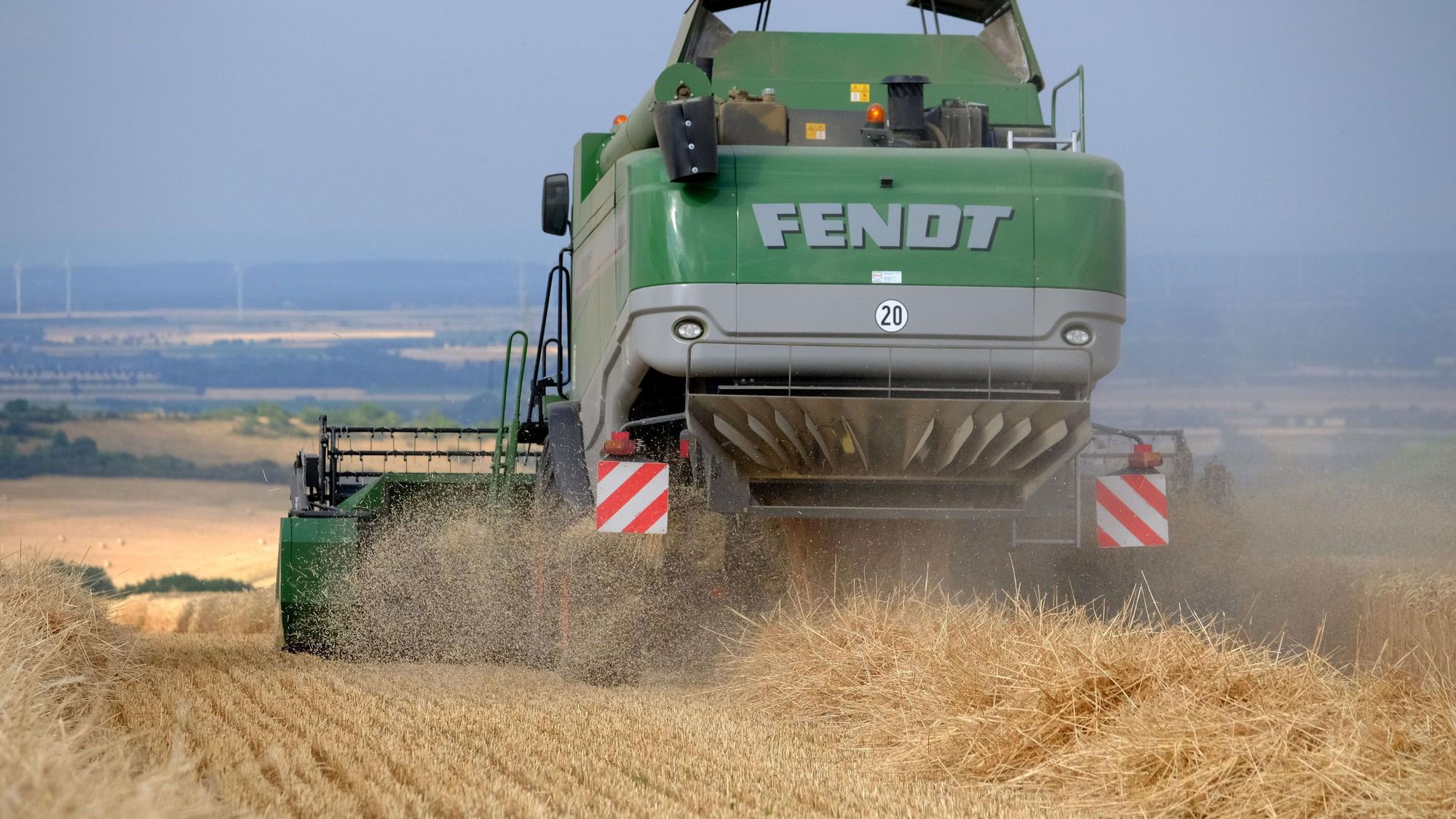 Heckansicht eines grünen Mähdreschers bei der Getreideernte auf einem Feld bei Mechernich-Berg